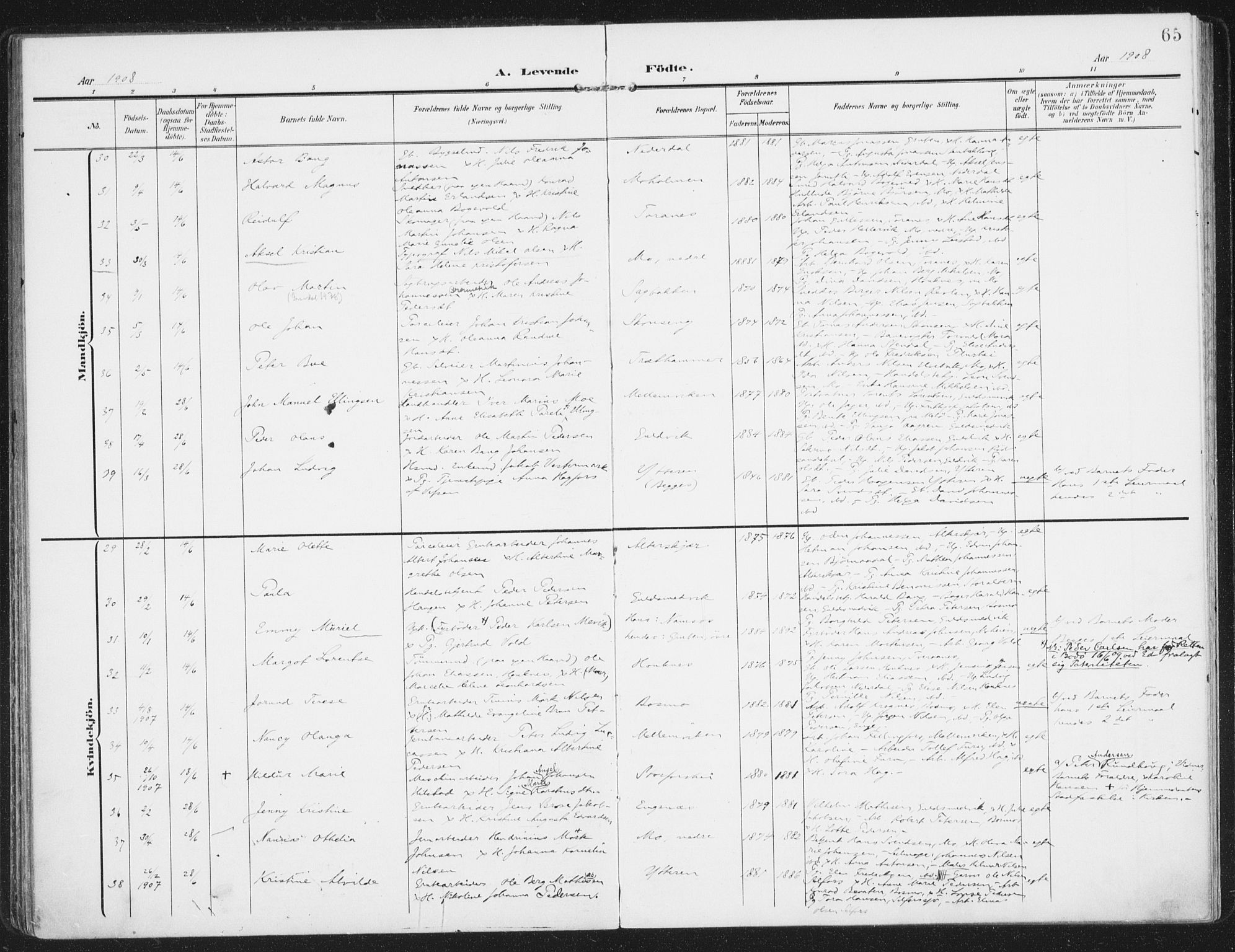 Ministerialprotokoller, klokkerbøker og fødselsregistre - Nordland, SAT/A-1459/827/L0402: Parish register (official) no. 827A14, 1903-1912, p. 65