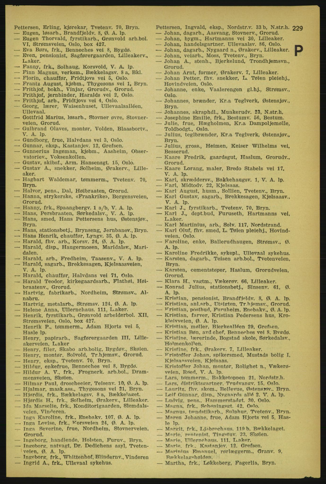Aker adressebok/adressekalender, PUBL/001/A/004: Aker adressebok, 1929, p. 229