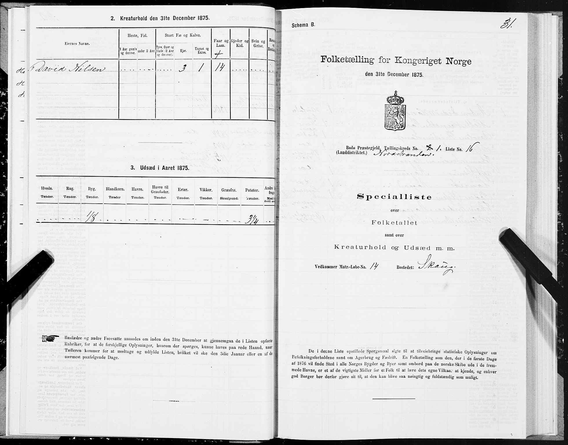 SAT, 1875 census for 1843L Bodø/Bodø, 1875, p. 1031