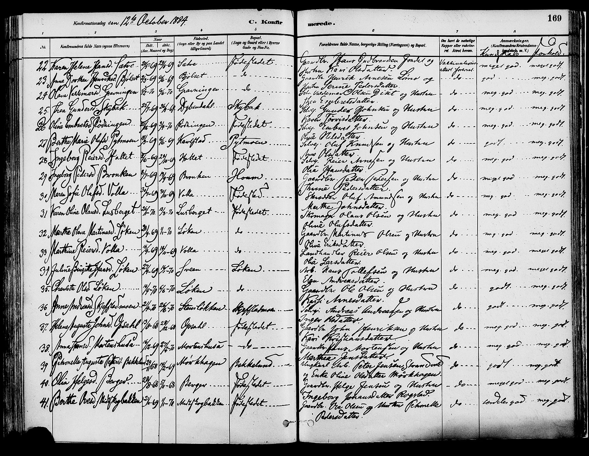 Elverum prestekontor, SAH/PREST-044/H/Ha/Haa/L0013: Parish register (official) no. 13, 1880-1890, p. 169