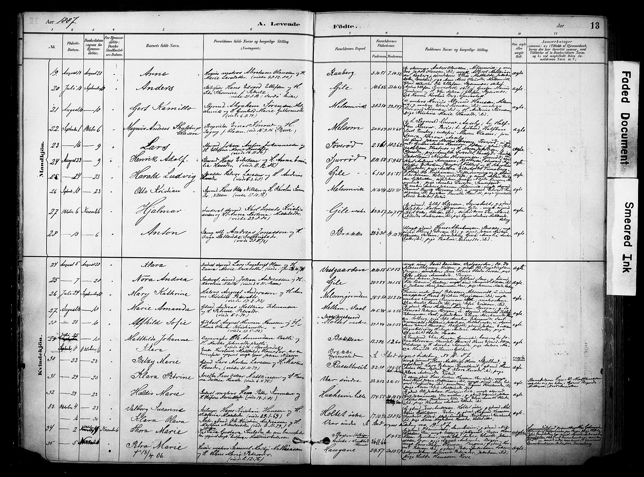 Stokke kirkebøker, SAKO/A-320/F/Fa/L0010: Parish register (official) no. I 10, 1884-1903, p. 13