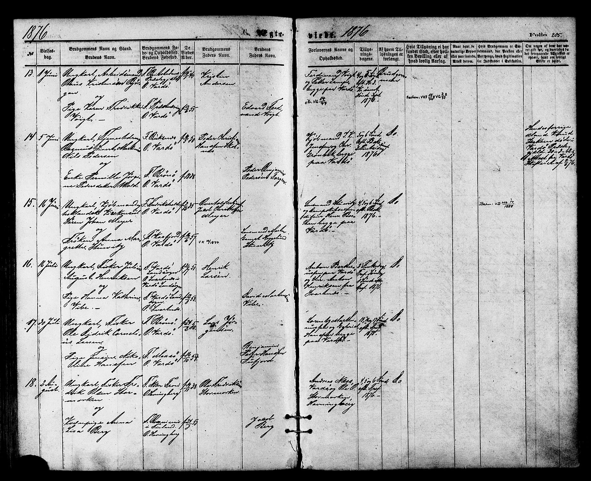 Vardø sokneprestkontor, AV/SATØ-S-1332/H/Ha/L0005kirke: Parish register (official) no. 5, 1872-1878, p. 205