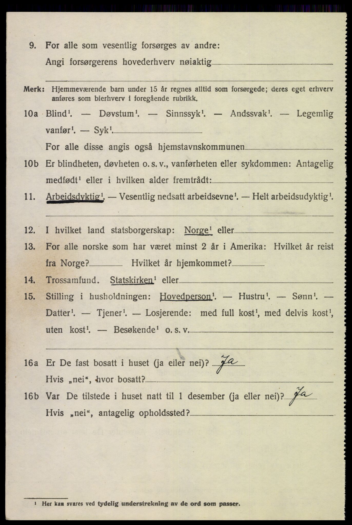 SAK, 1920 census for Nes (V-A), 1920, p. 1043