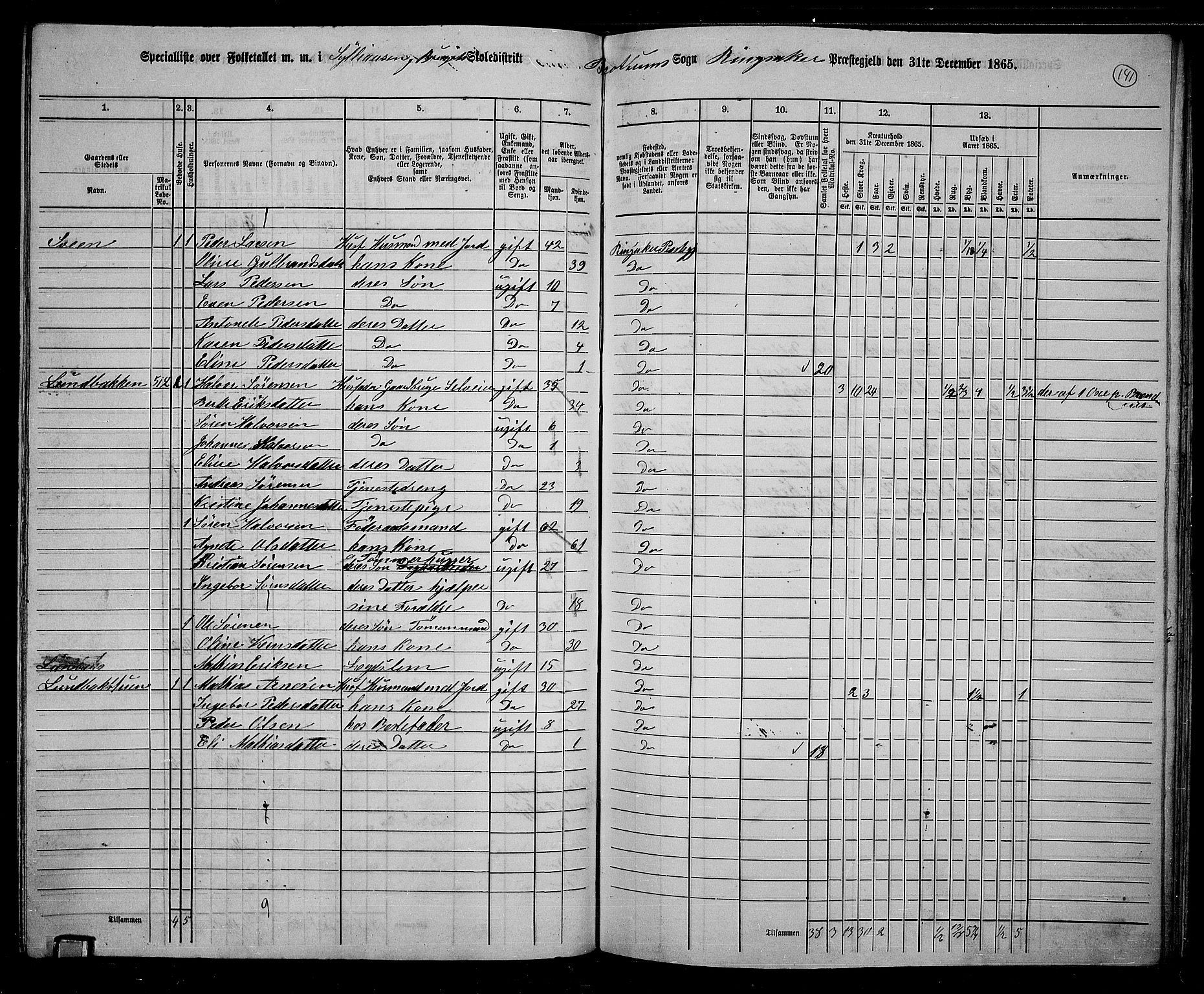 RA, 1865 census for Ringsaker, 1865, p. 384