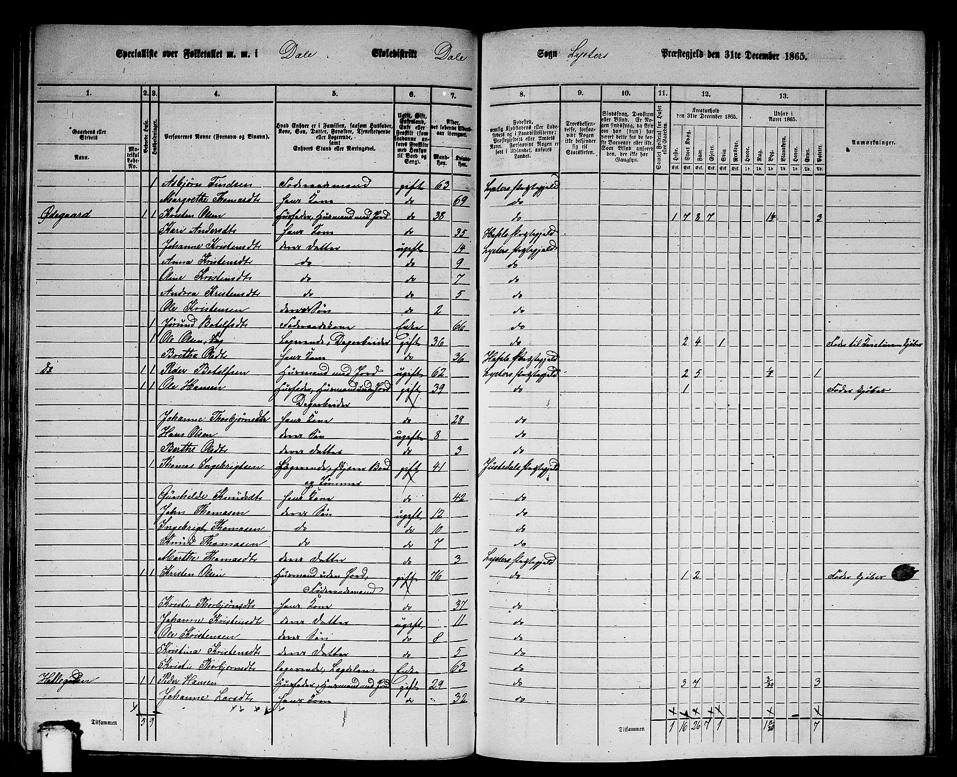 RA, 1865 census for Luster, 1865, p. 93