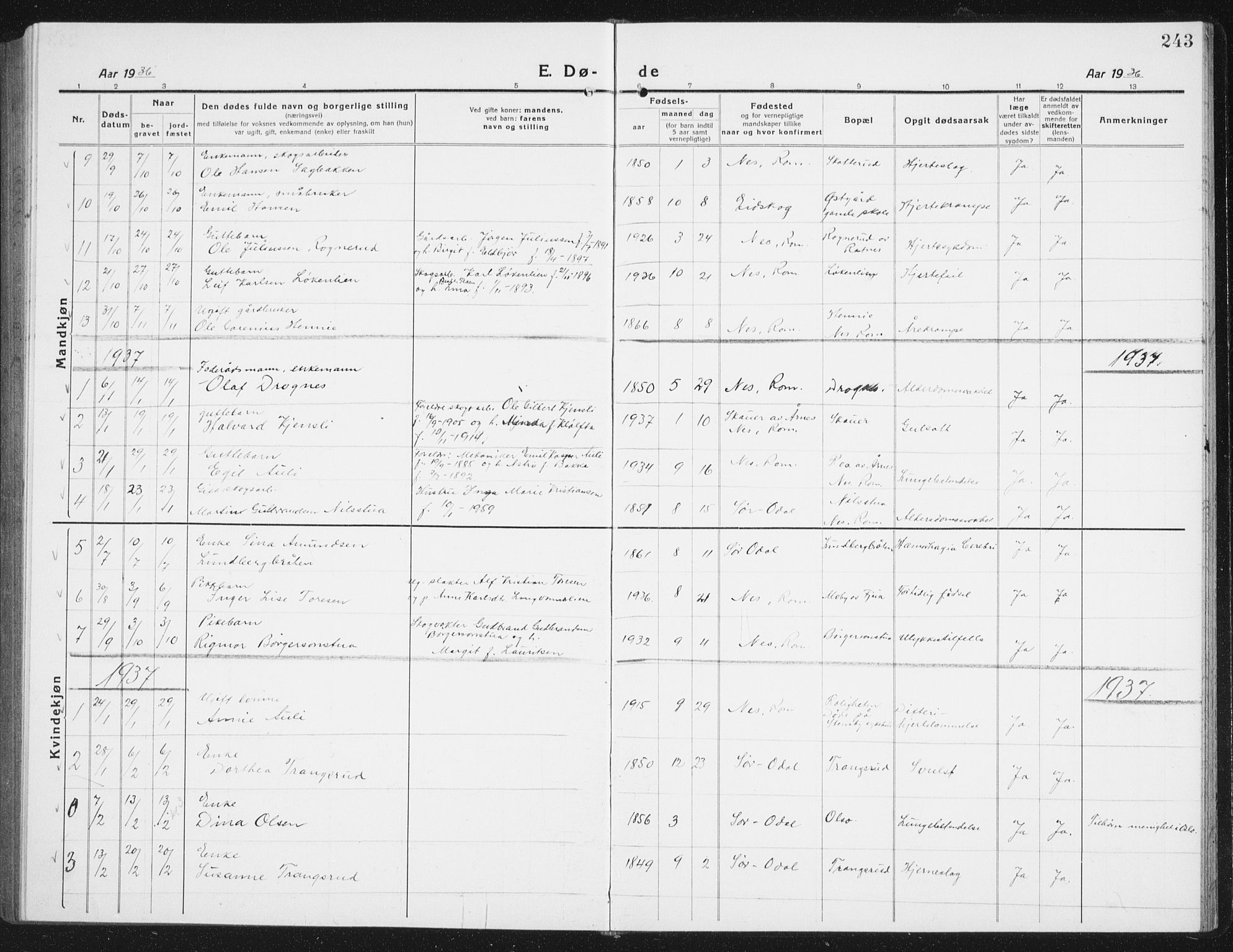 Nes prestekontor Kirkebøker, SAO/A-10410/G/Gc/L0002: Parish register (copy) no. III 2, 1915-1943, p. 243