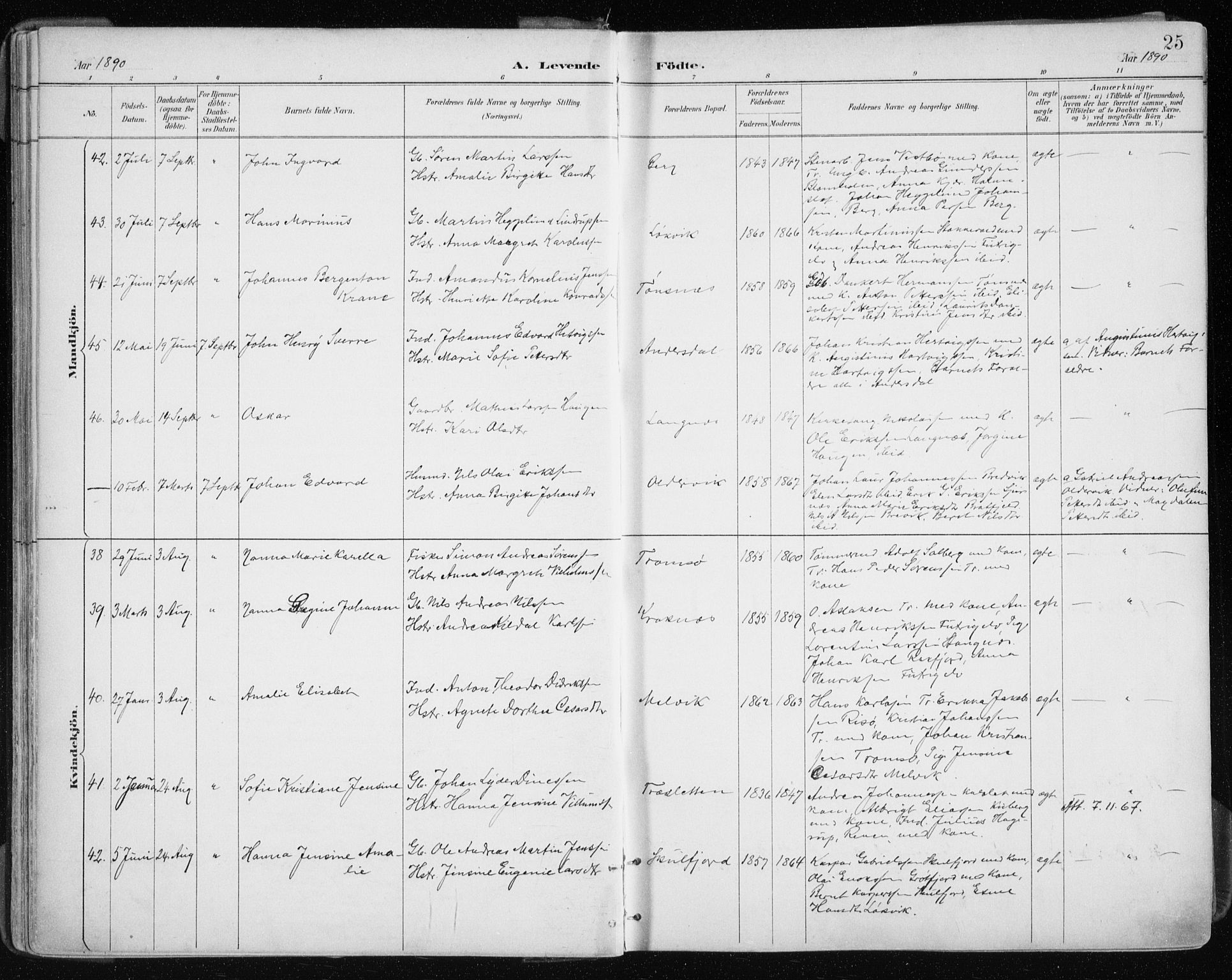 Tromsøysund sokneprestkontor, SATØ/S-1304/G/Ga/L0005kirke: Parish register (official) no. 5, 1888-1896, p. 25