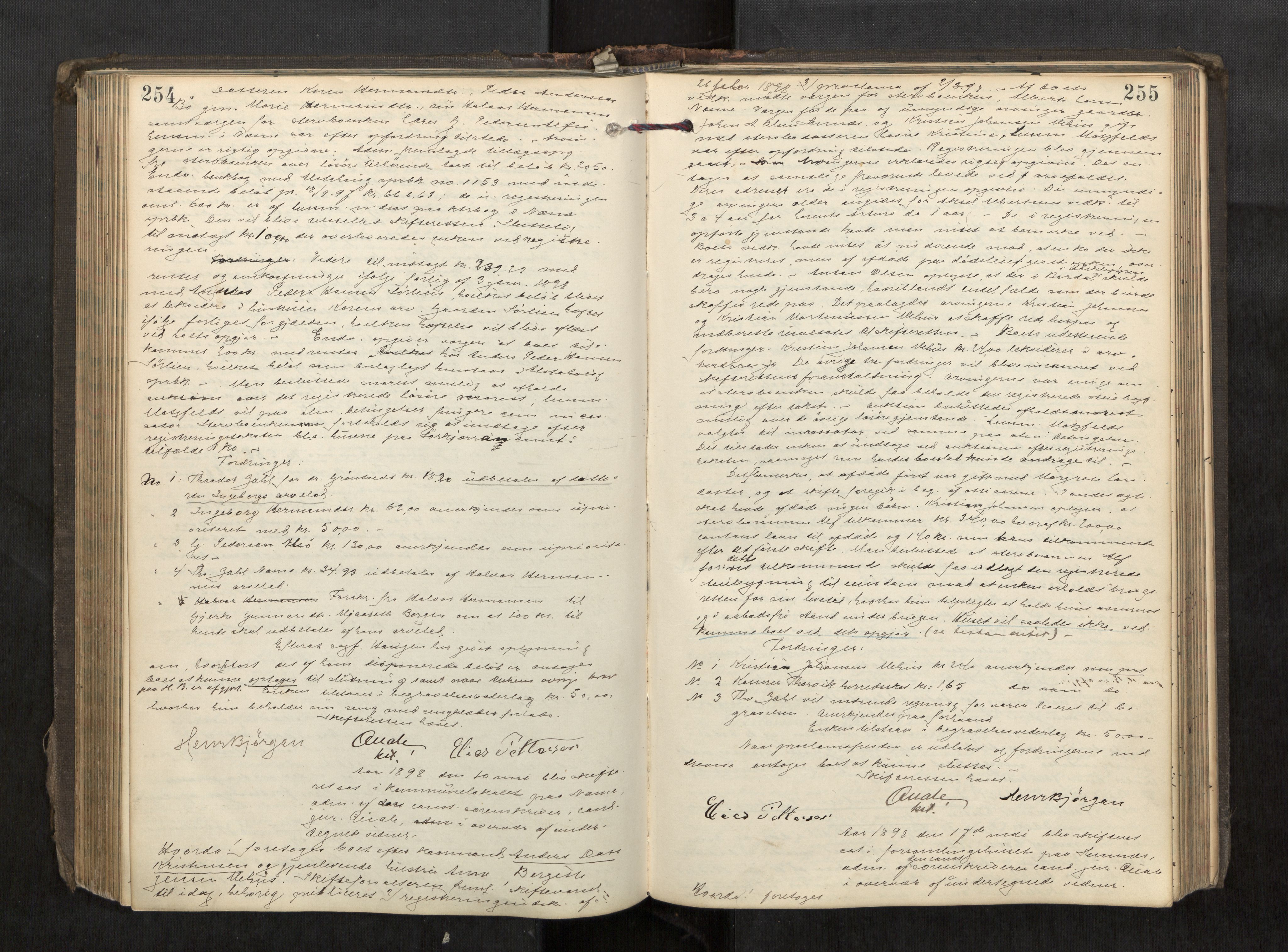 Rana sorenskriveri , AV/SAT-A-1108/1/3/3B/L0006: Skiftebehandlingsprotokoll, 1892-1901, p. 254-255