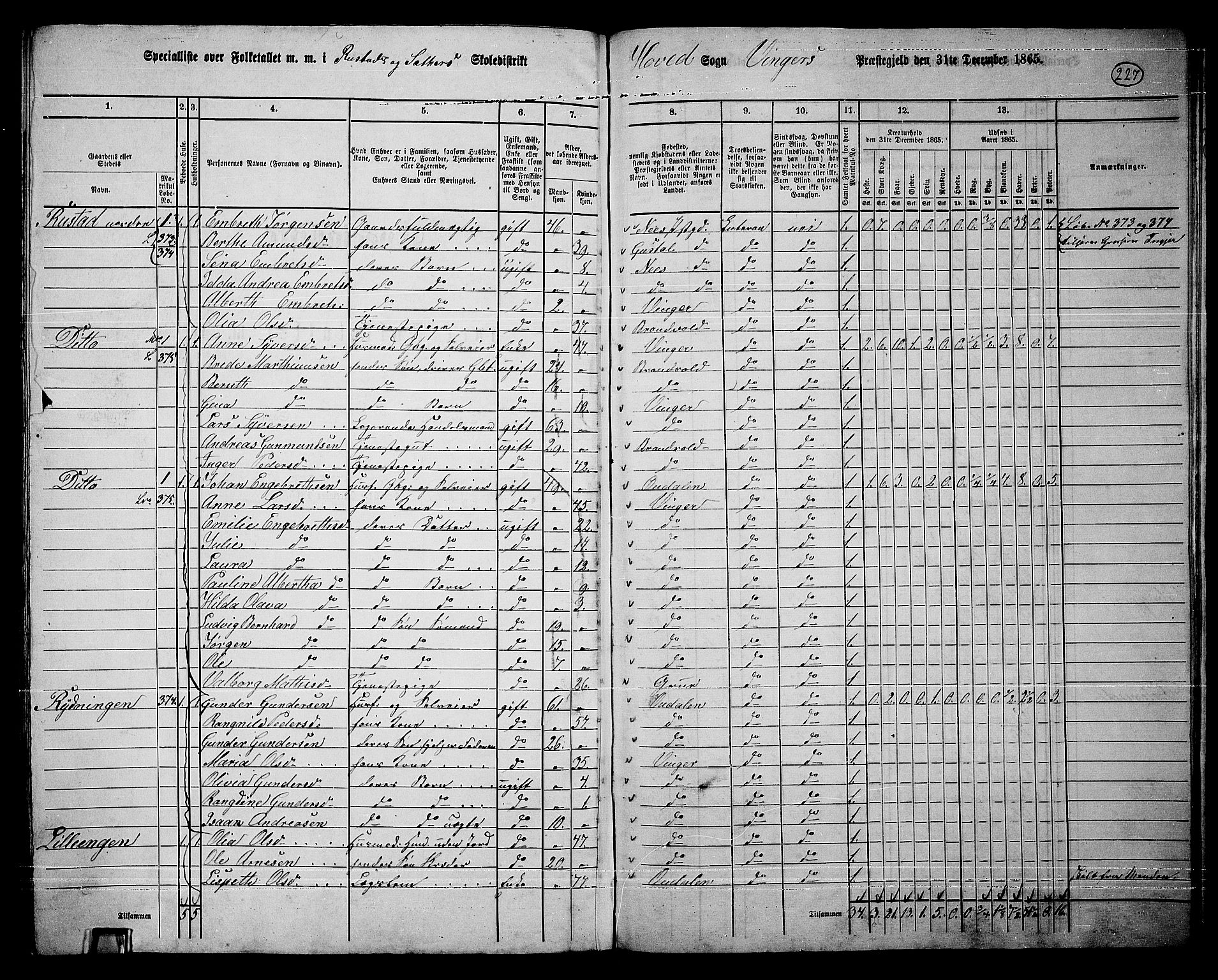 RA, 1865 census for Vinger/Vinger og Austmarka, 1865, p. 207