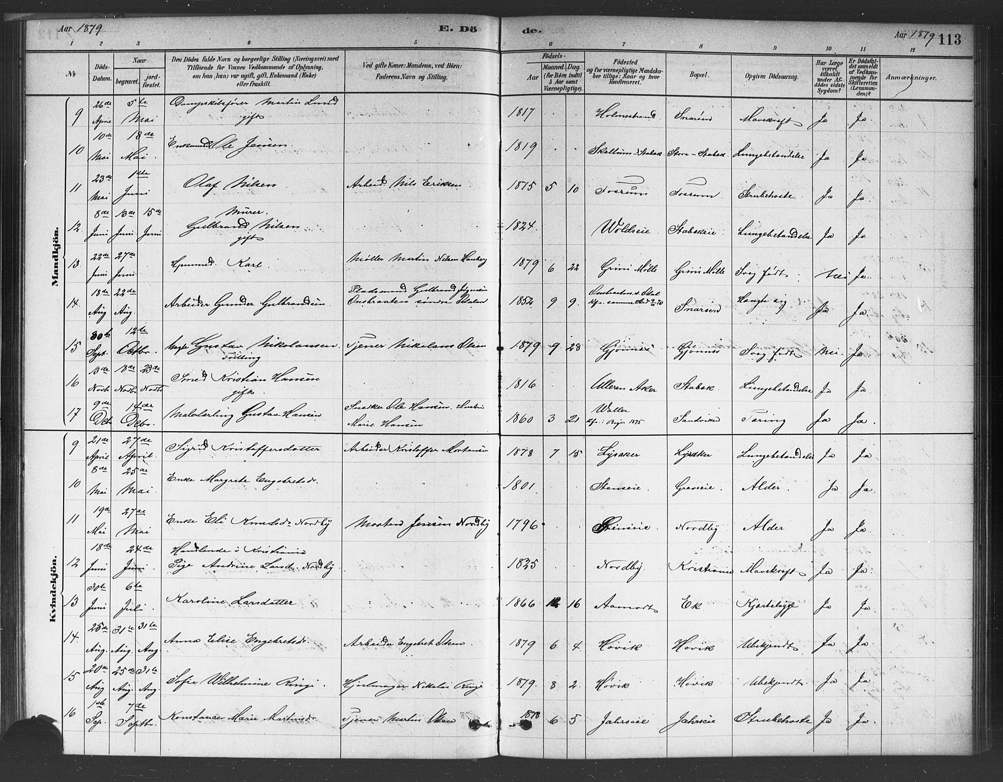 Asker prestekontor Kirkebøker, AV/SAO-A-10256a/F/Fc/L0001: Parish register (official) no. III 1, 1879-1892, p. 113