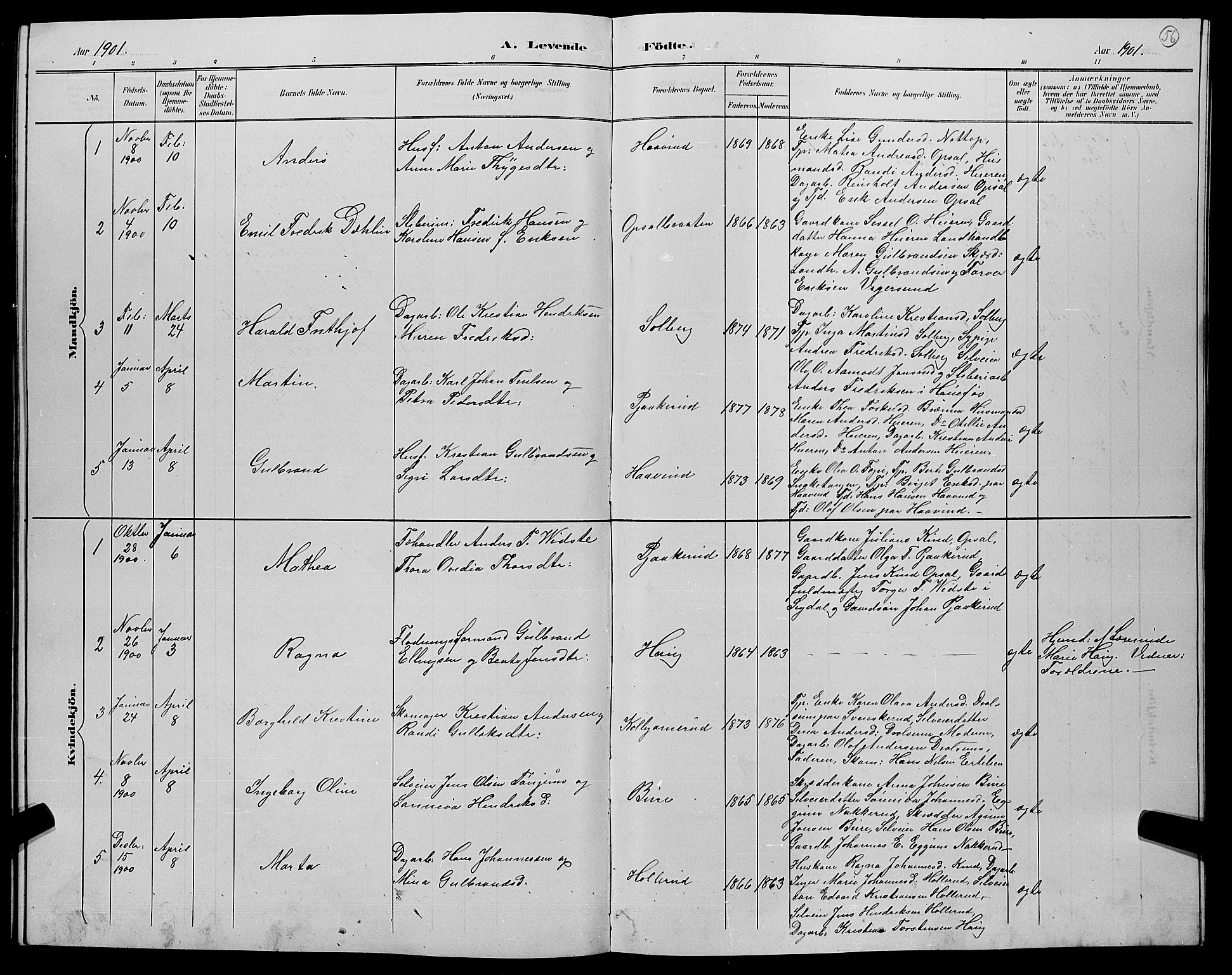 Hole kirkebøker, AV/SAKO-A-228/G/Gb/L0003: Parish register (copy) no. II 3, 1890-1901, p. 56