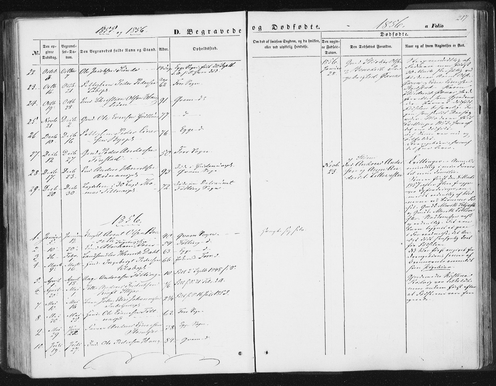 Ministerialprotokoller, klokkerbøker og fødselsregistre - Nord-Trøndelag, SAT/A-1458/746/L0446: Parish register (official) no. 746A05, 1846-1859, p. 217