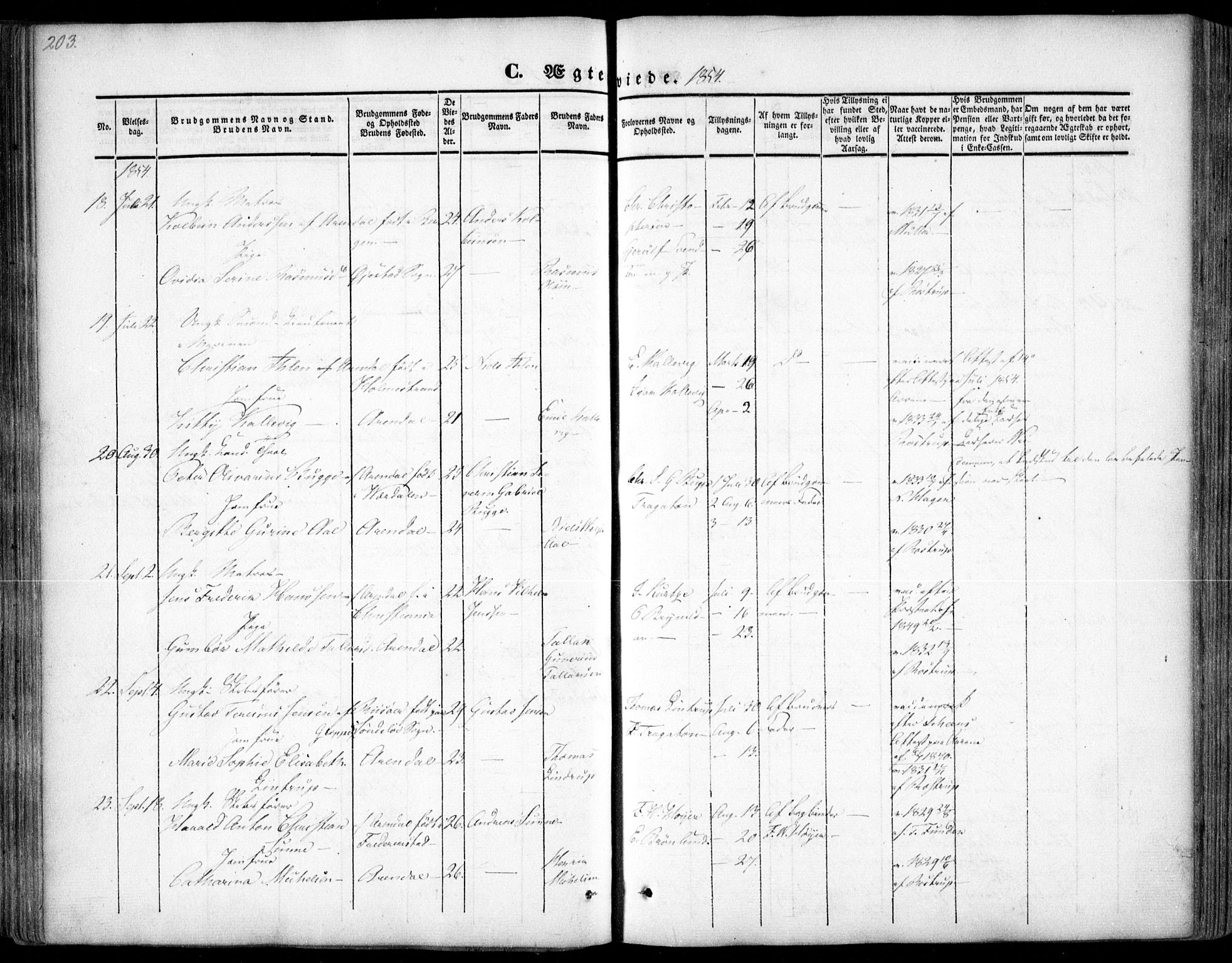 Arendal sokneprestkontor, Trefoldighet, AV/SAK-1111-0040/F/Fa/L0005: Parish register (official) no. A 5, 1838-1854, p. 203