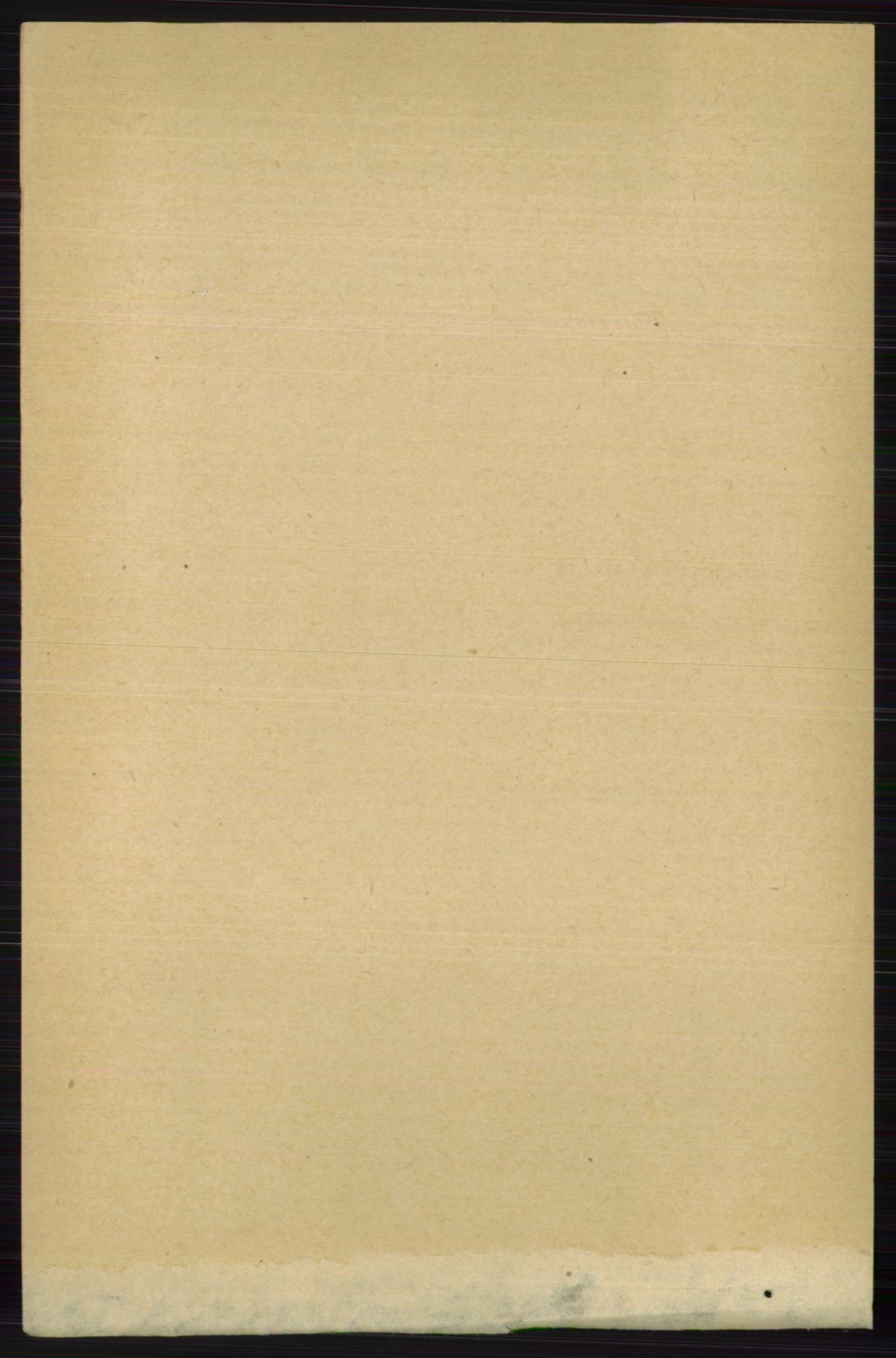 RA, 1891 census for 0717 Borre, 1891, p. 3220