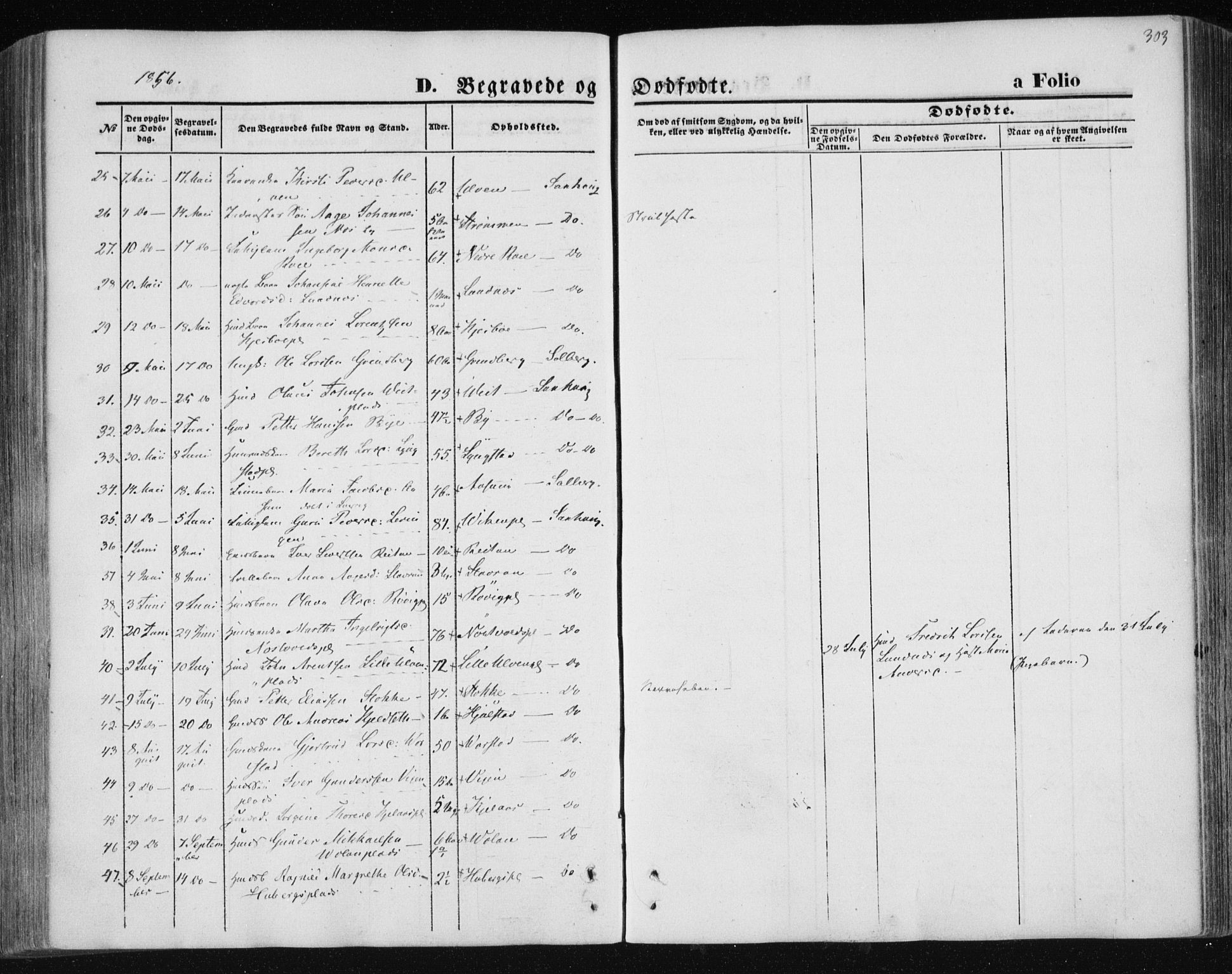 Ministerialprotokoller, klokkerbøker og fødselsregistre - Nord-Trøndelag, AV/SAT-A-1458/730/L0283: Parish register (official) no. 730A08, 1855-1865, p. 303