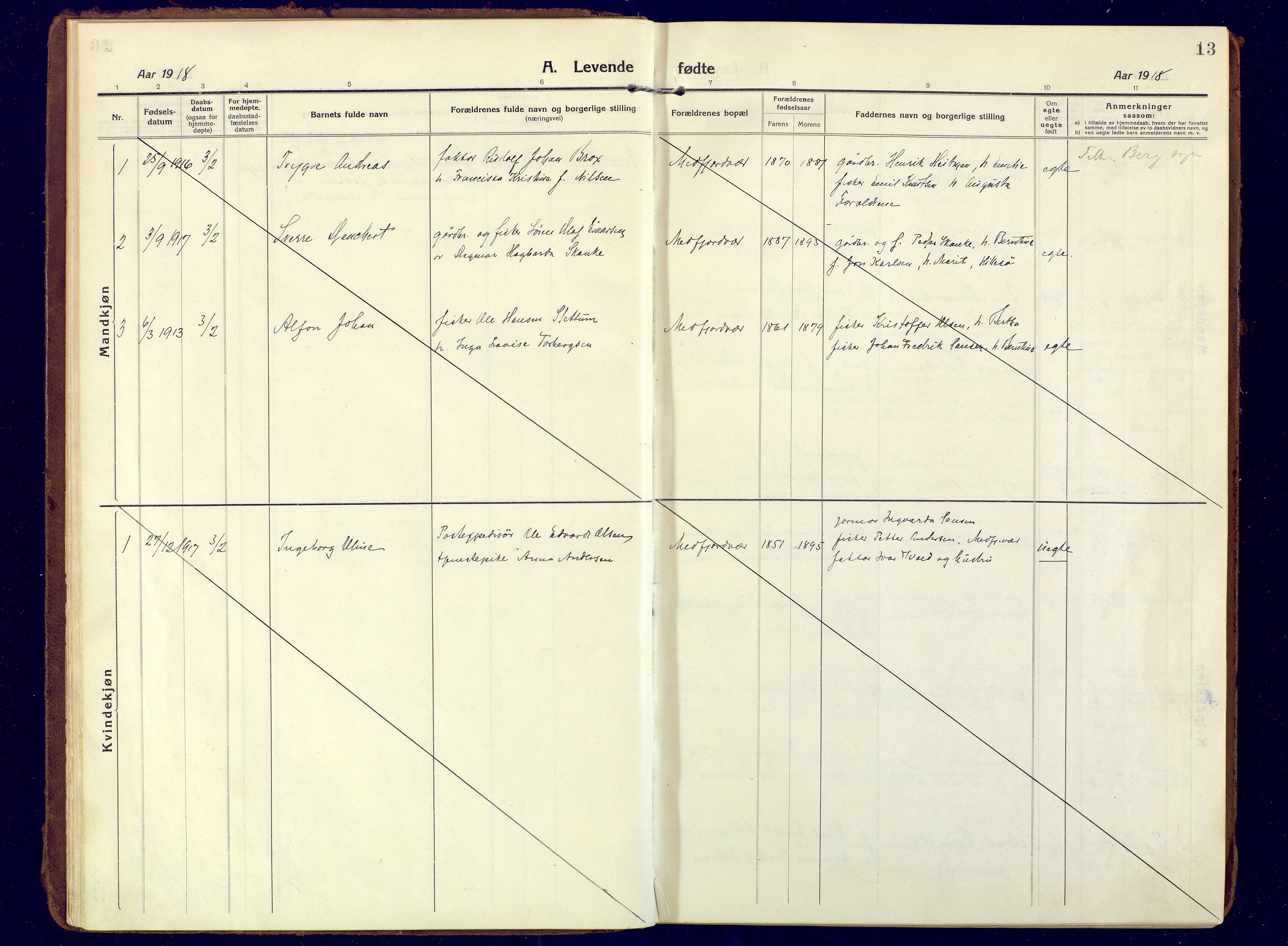 Berg sokneprestkontor, AV/SATØ-S-1318/G/Ga/Gaa/L0010kirke: Parish register (official) no. 10, 1916-1928, p. 13