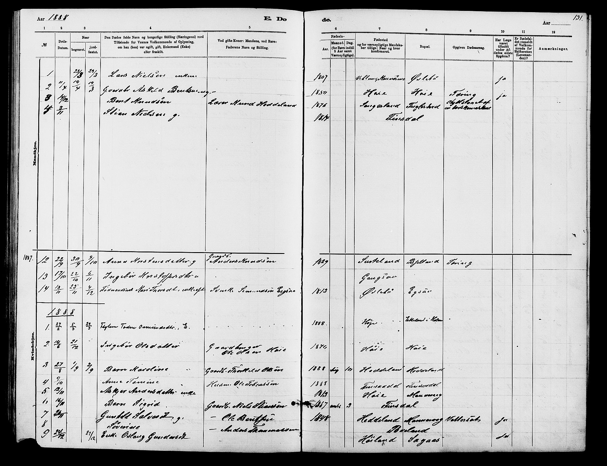 Holum sokneprestkontor, SAK/1111-0022/F/Fb/Fbc/L0003: Parish register (copy) no. B 3, 1882-1908, p. 131
