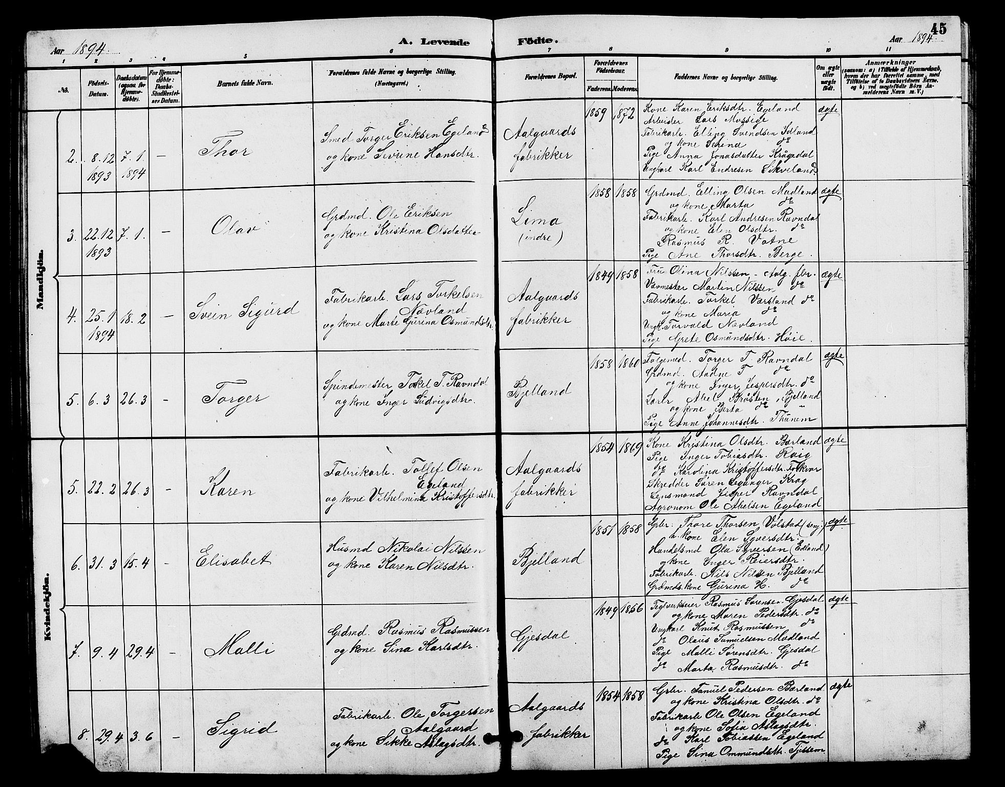 Lye sokneprestkontor, AV/SAST-A-101794/001/30BB/L0008: Parish register (copy) no. B 7, 1887-1901, p. 45