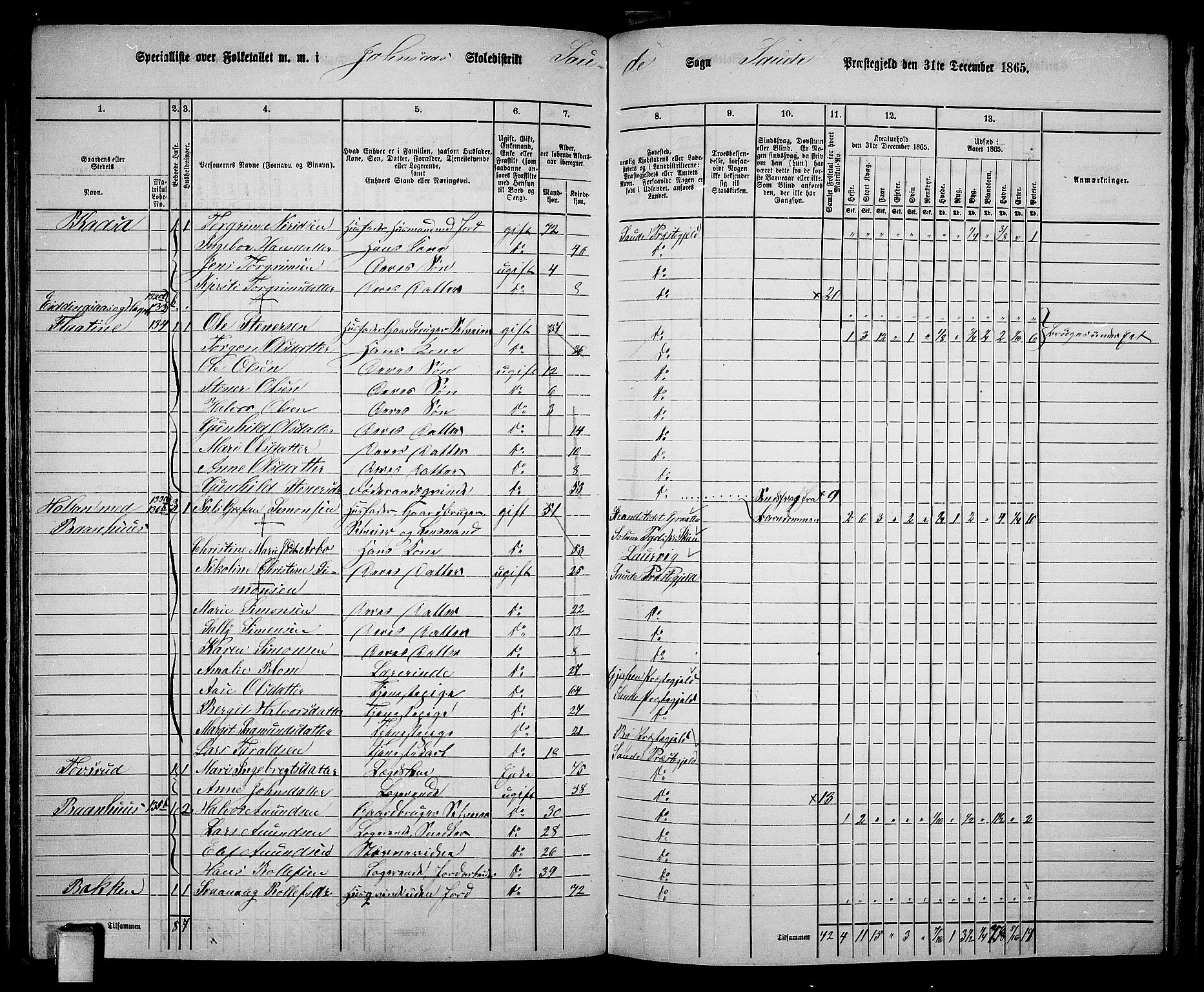 RA, 1865 census for Sauherad, 1865, p. 107