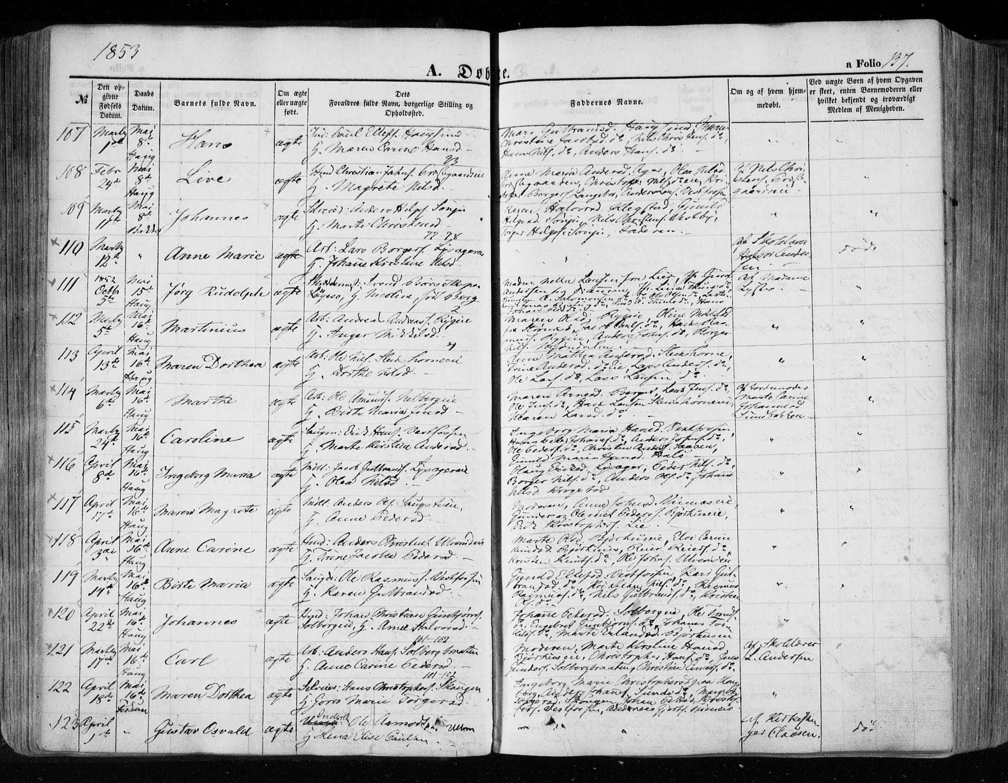Eiker kirkebøker, SAKO/A-4/F/Fa/L0014: Parish register (official) no. I 14, 1846-1854, p. 137
