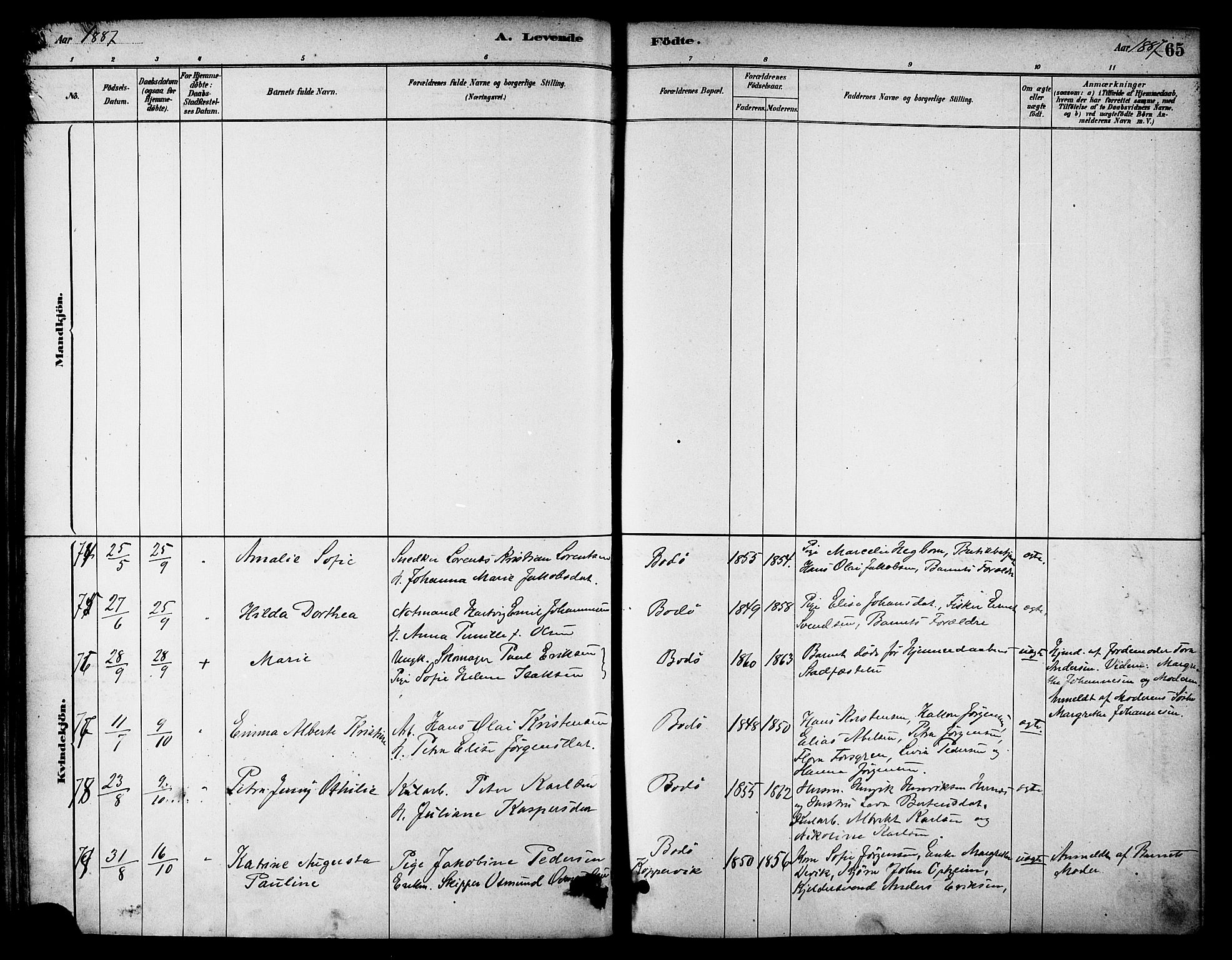 Ministerialprotokoller, klokkerbøker og fødselsregistre - Nordland, AV/SAT-A-1459/801/L0030: Parish register (copy) no. 801C05, 1879-1887, p. 65