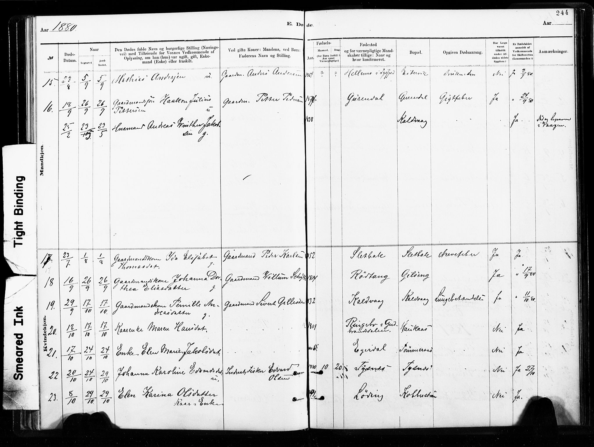 Ministerialprotokoller, klokkerbøker og fødselsregistre - Nordland, AV/SAT-A-1459/859/L0846: Parish register (official) no. 859A06, 1878-1889, p. 244