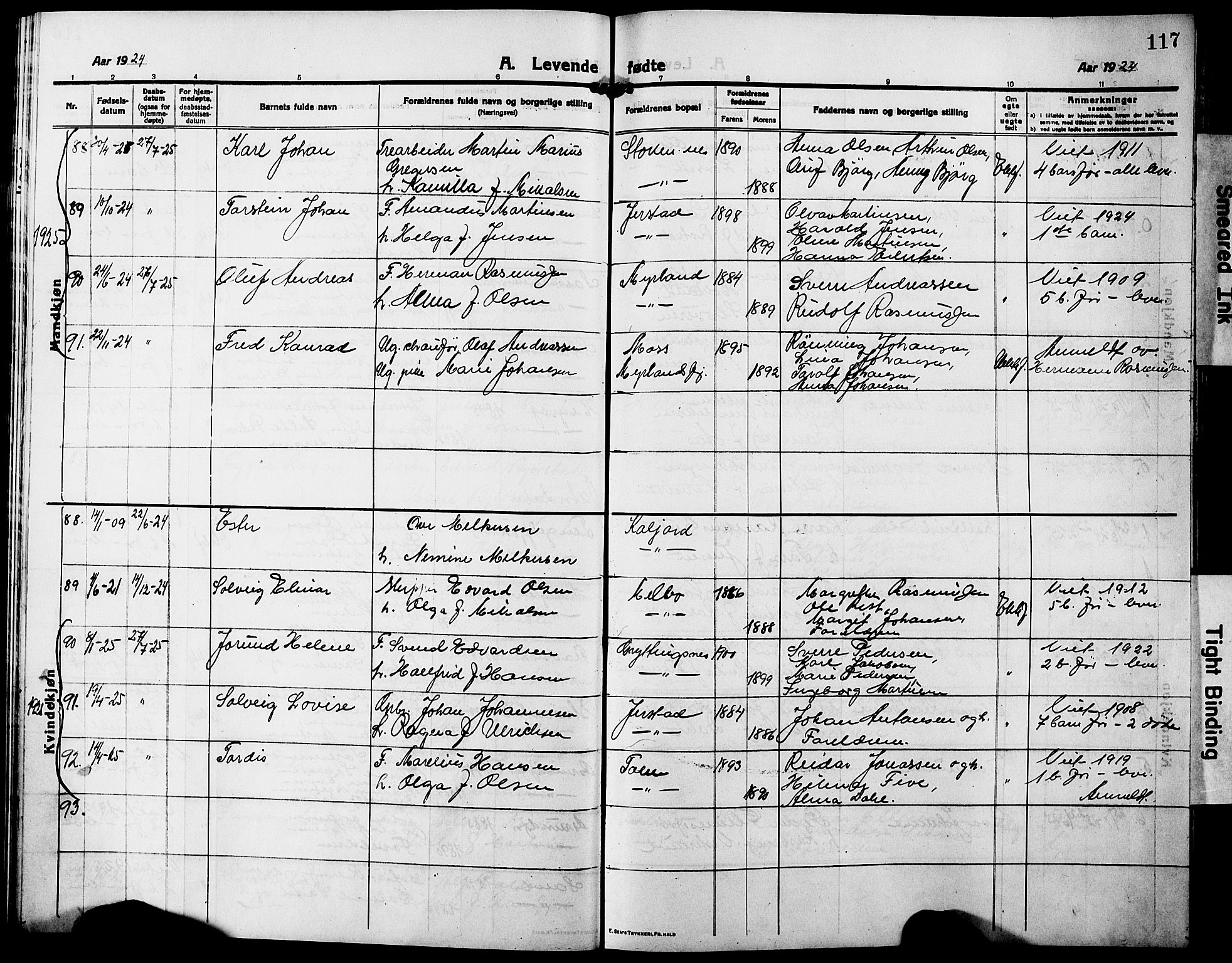 Ministerialprotokoller, klokkerbøker og fødselsregistre - Nordland, AV/SAT-A-1459/888/L1269: Parish register (copy) no. 888C07, 1913-1927, p. 117