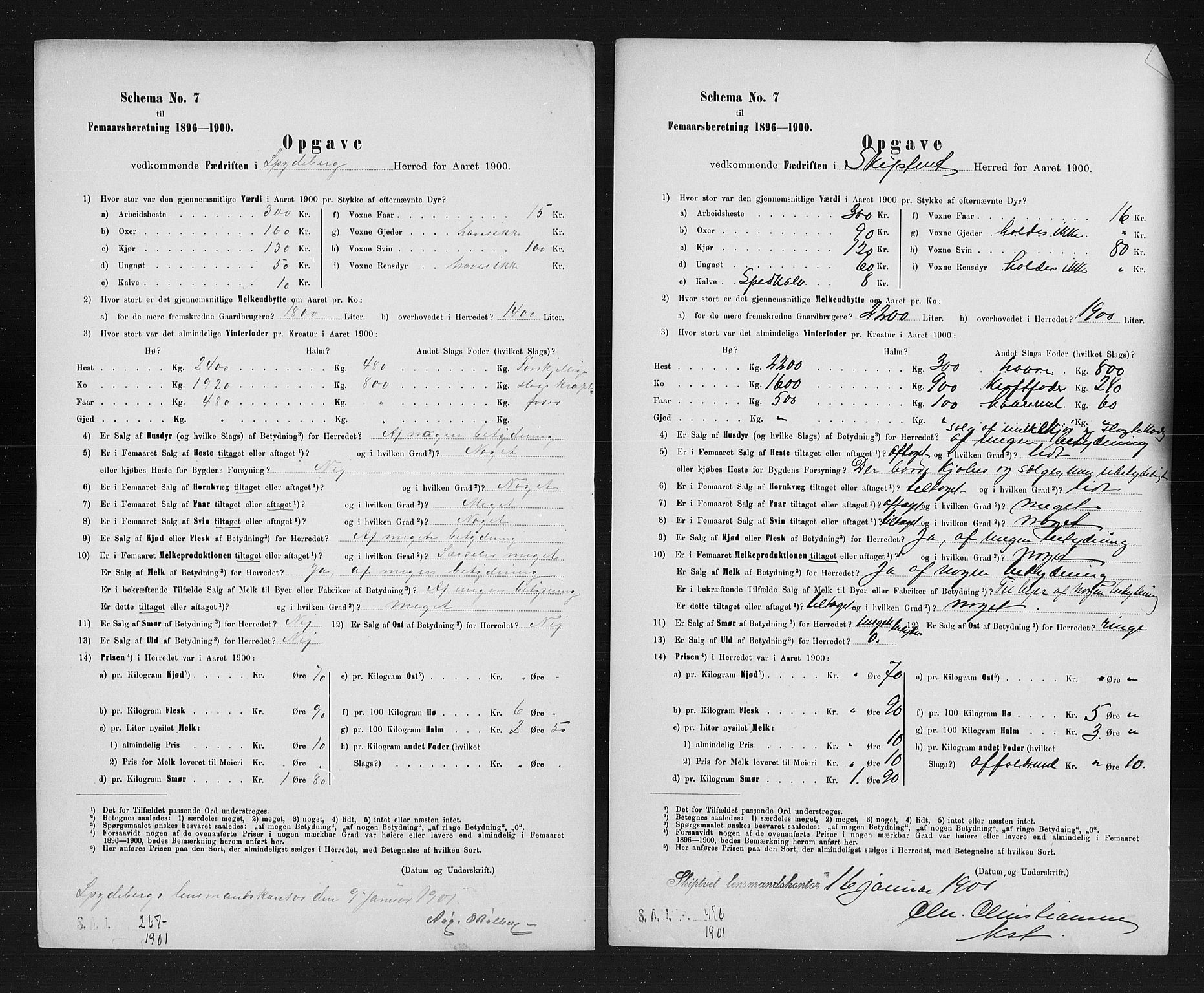 Statistisk sentralbyrå, Næringsøkonomiske emner, Generelt - Amtmennenes femårsberetninger, AV/RA-S-2233/F/Fa/L0090: --, 1900, p. 3