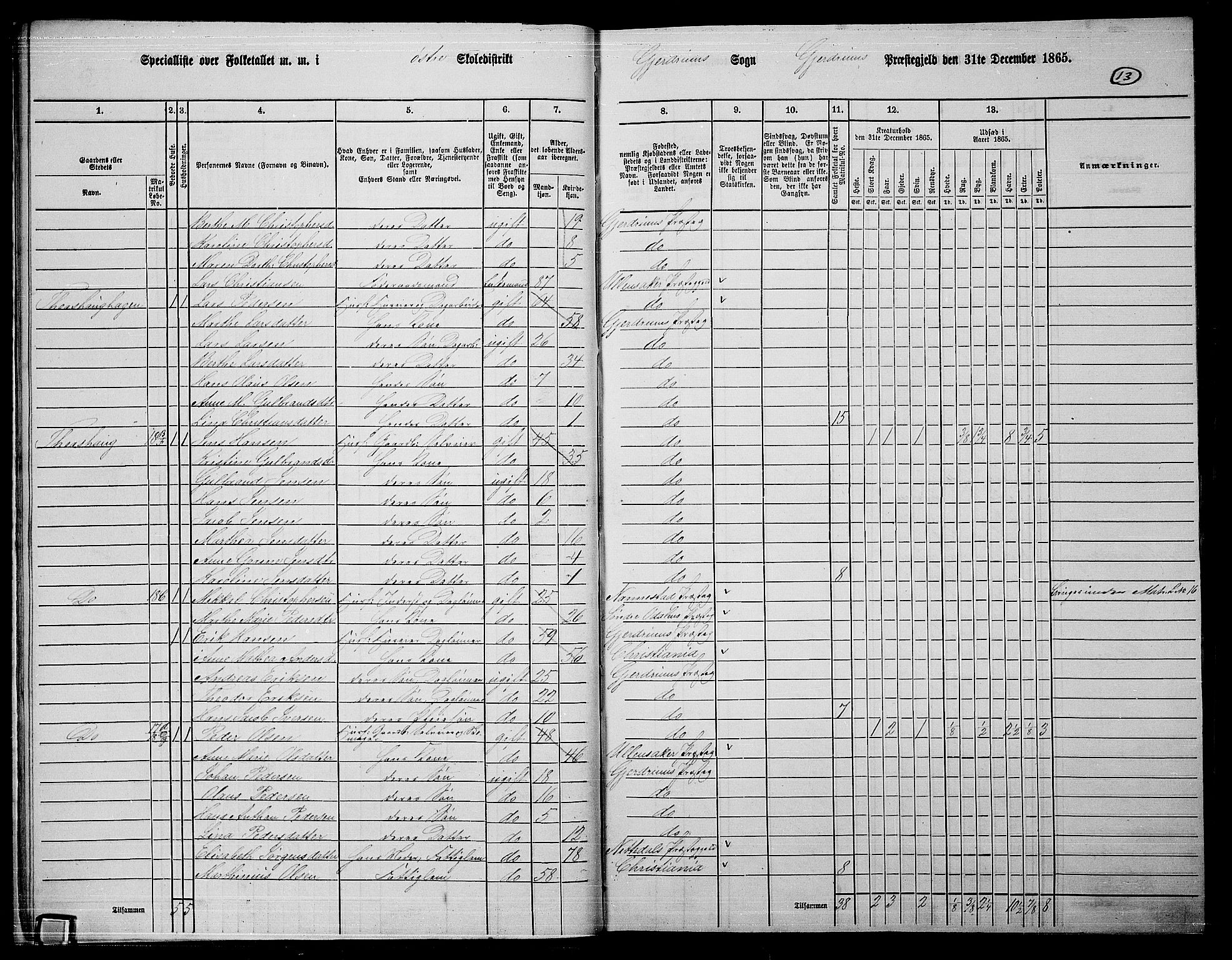 RA, 1865 census for Gjerdrum, 1865, p. 12