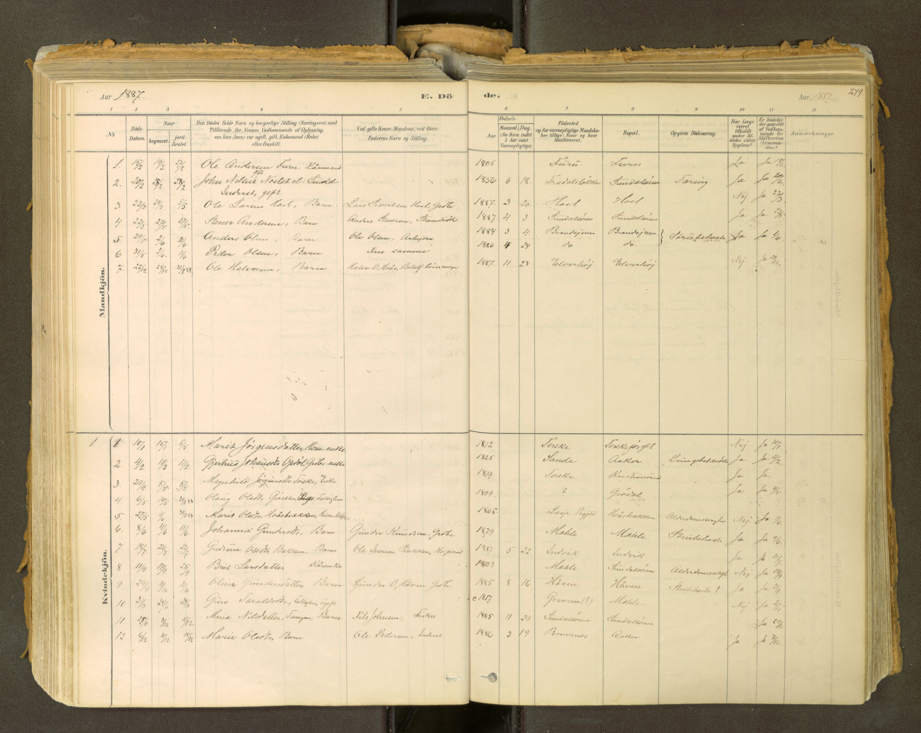 Sunndal sokneprestkontor, SAT/A-1085/1/I/I1/I1a: Parish register (official) no. 2, 1877-1914, p. 249