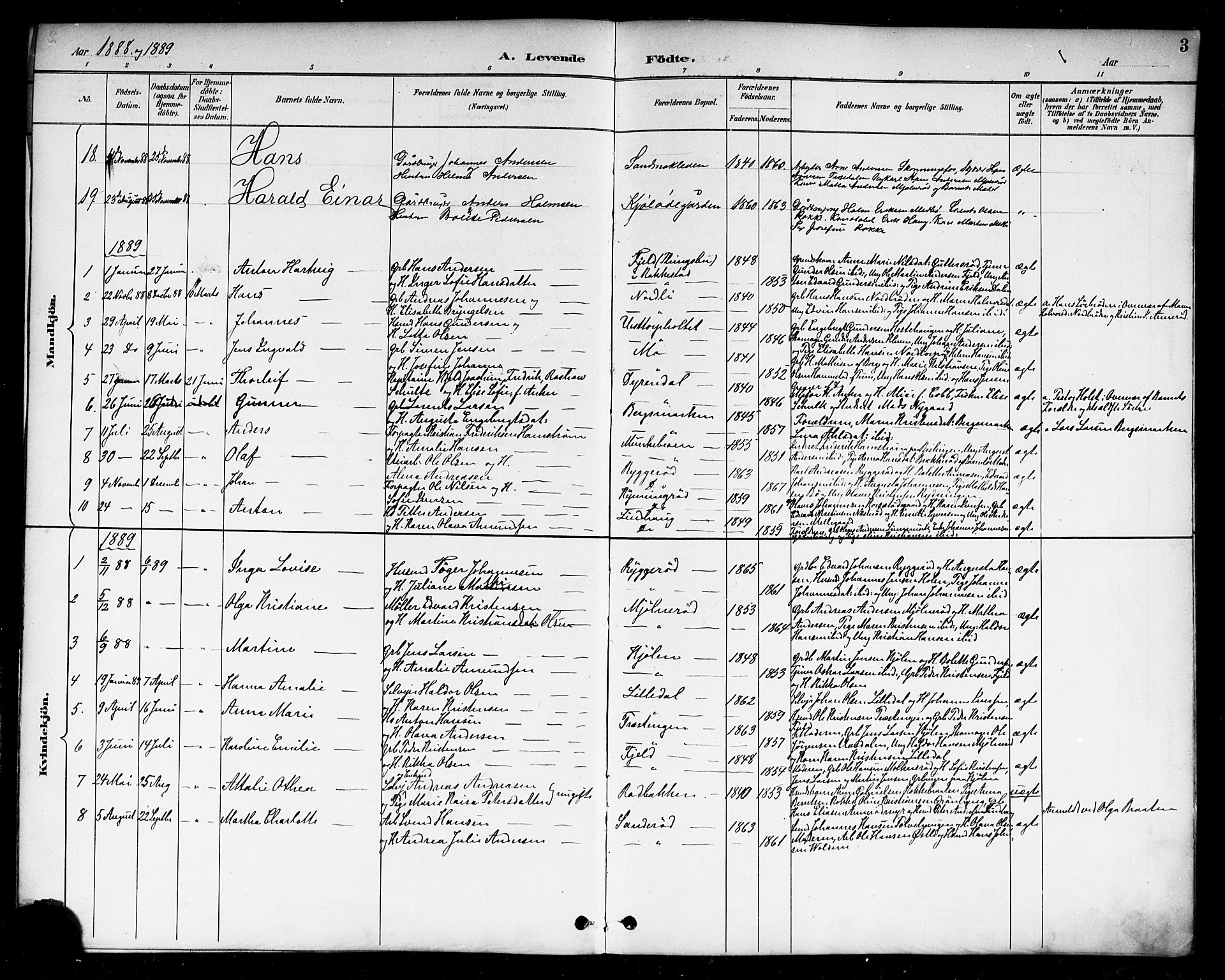 Berg prestekontor Kirkebøker, SAO/A-10902/F/Fc/L0002: Parish register (official) no. III 2, 1888-1901, p. 3