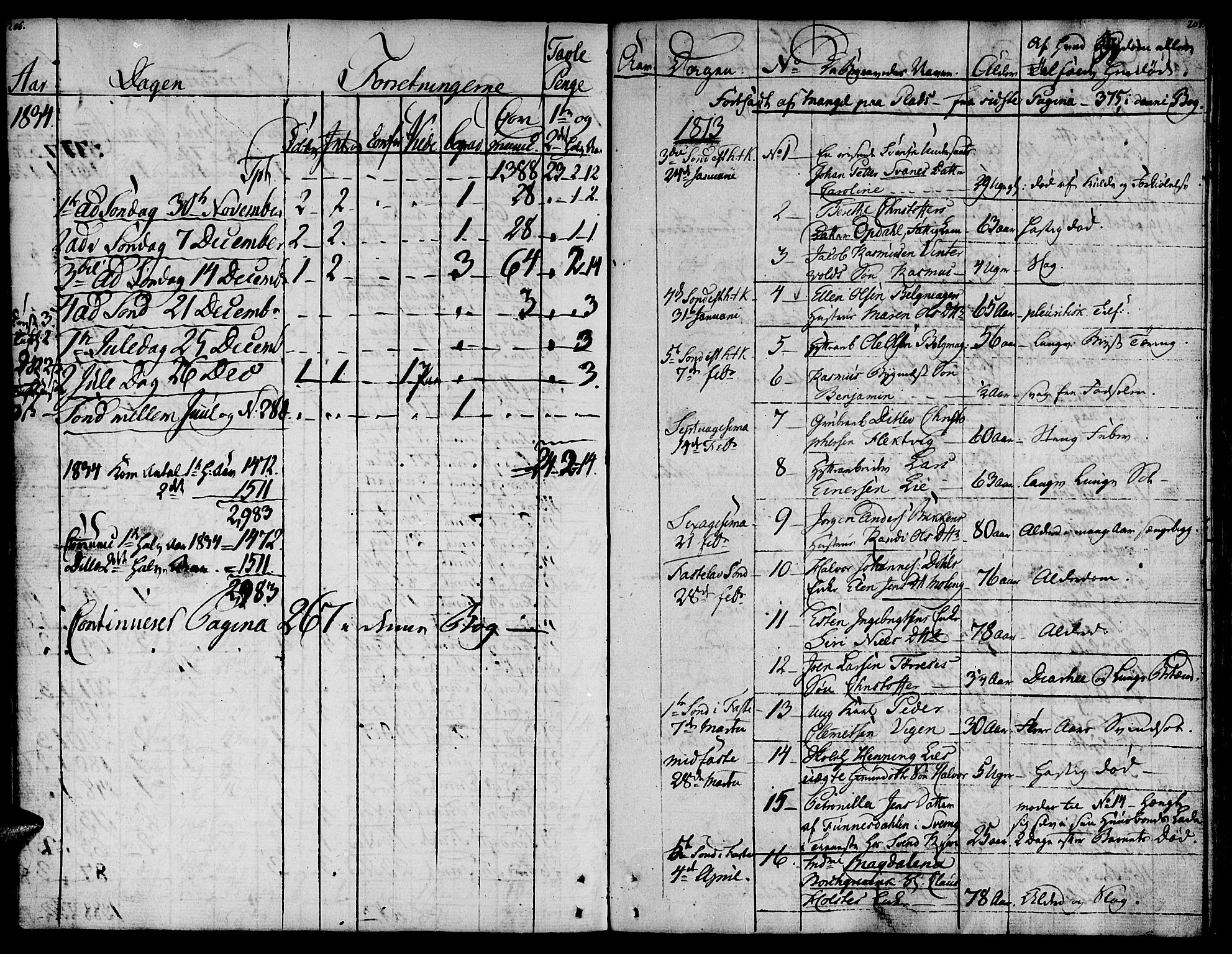 Ministerialprotokoller, klokkerbøker og fødselsregistre - Sør-Trøndelag, SAT/A-1456/681/L0928: Parish register (official) no. 681A06, 1806-1816, p. 206-207