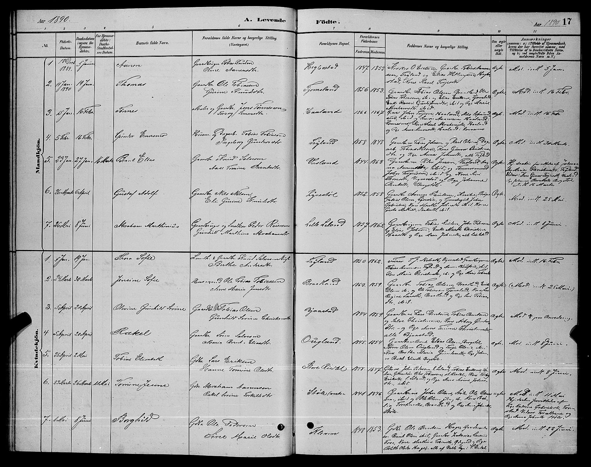 Nord-Audnedal sokneprestkontor, AV/SAK-1111-0032/F/Fb/Fbb/L0003: Parish register (copy) no. B 3, 1882-1900, p. 17