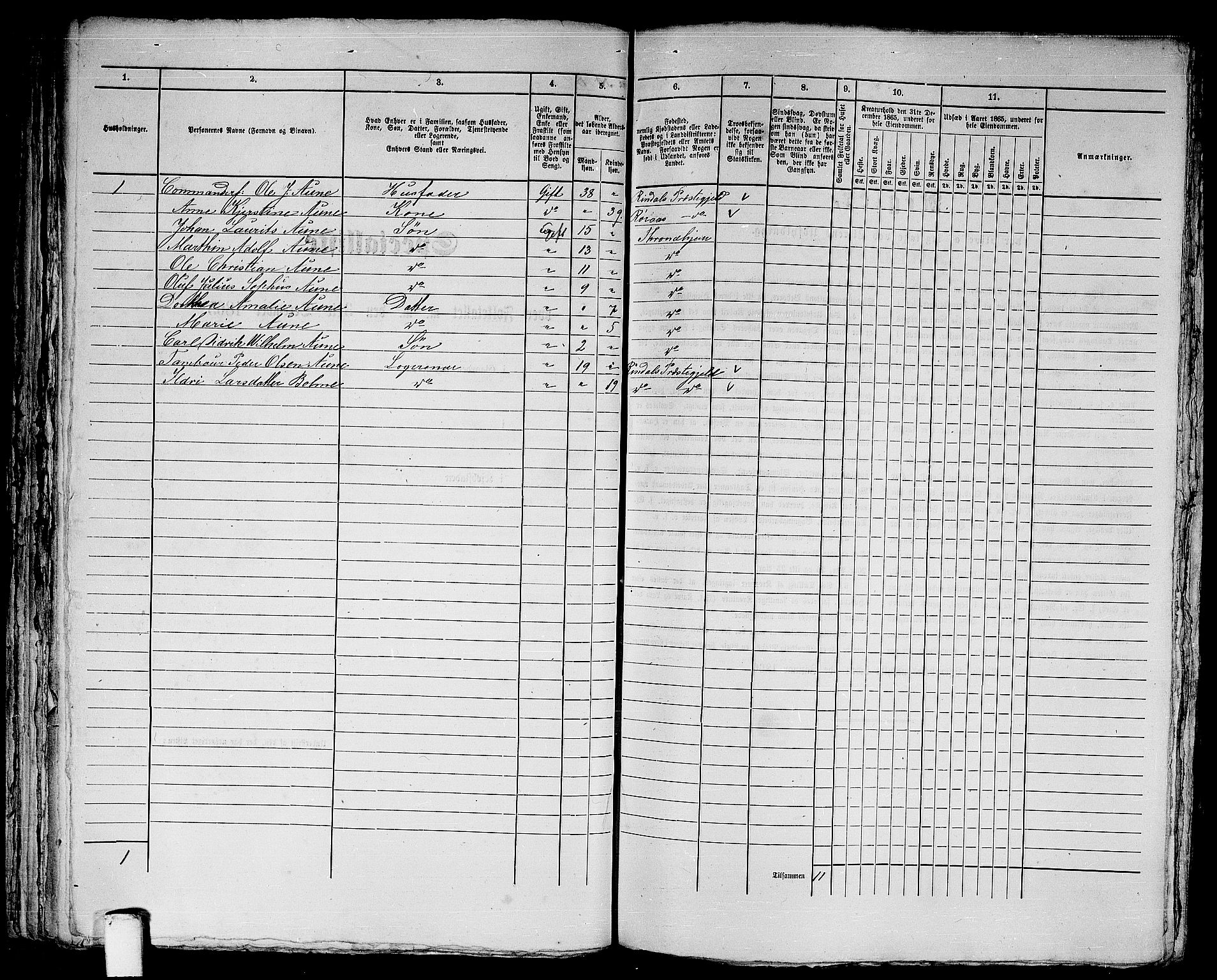 RA, 1865 census for Trondheim, 1865, p. 1641