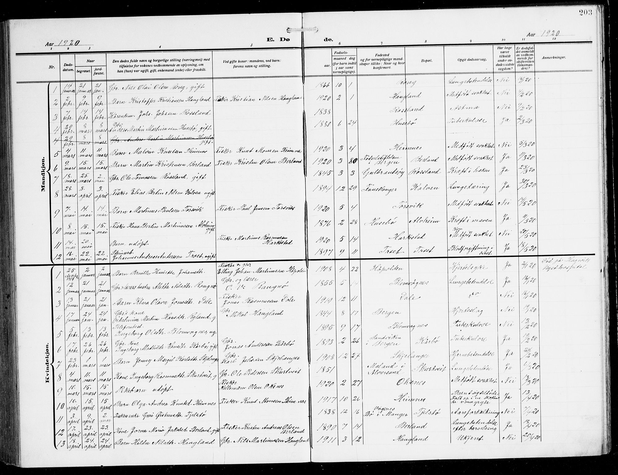 Herdla Sokneprestembete, SAB/A-75701/H/Hab: Parish register (copy) no. C 2, 1913-1926, p. 203