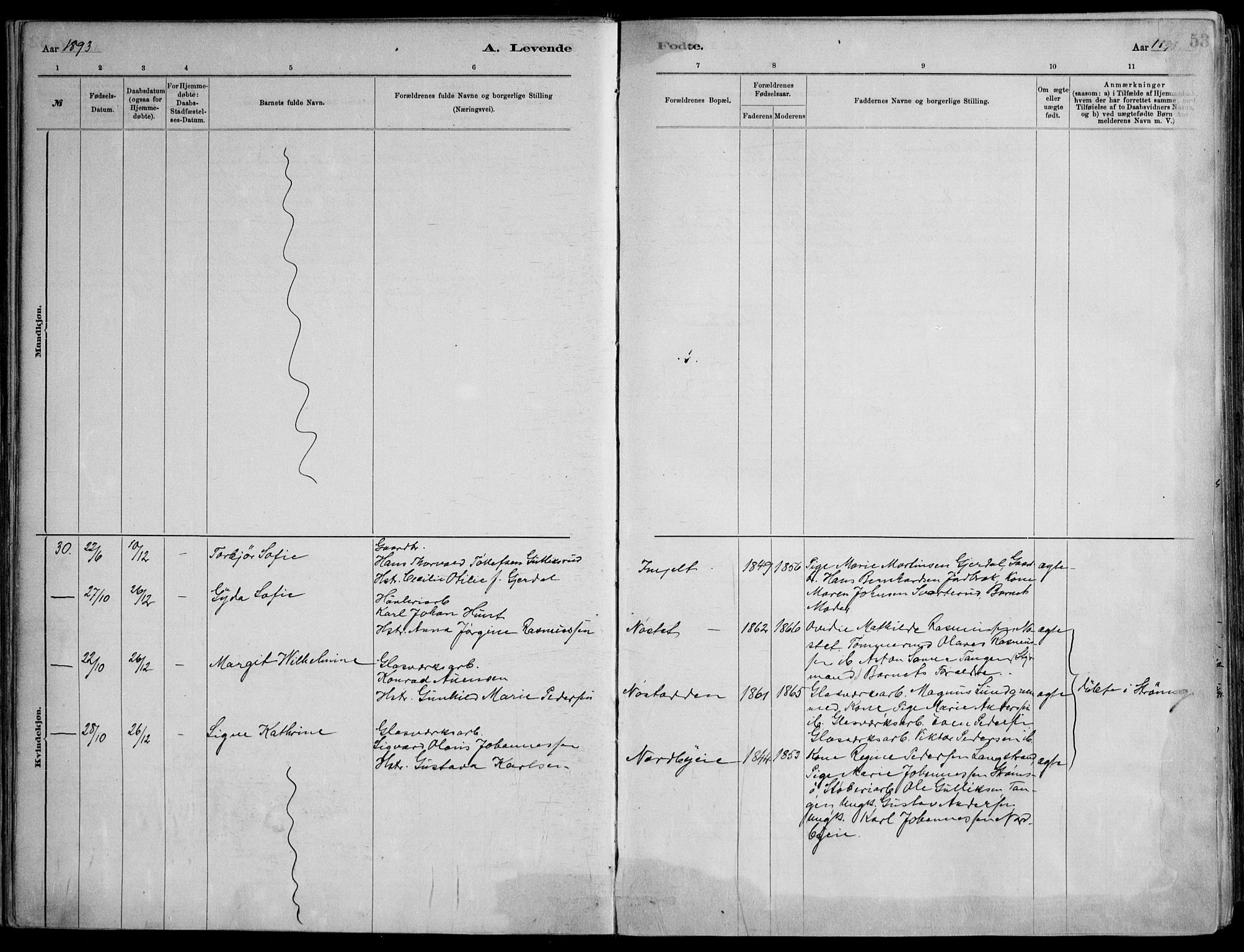 Skoger kirkebøker, AV/SAKO-A-59/F/Fa/L0006: Parish register (official) no. I 6, 1885-1910, p. 53