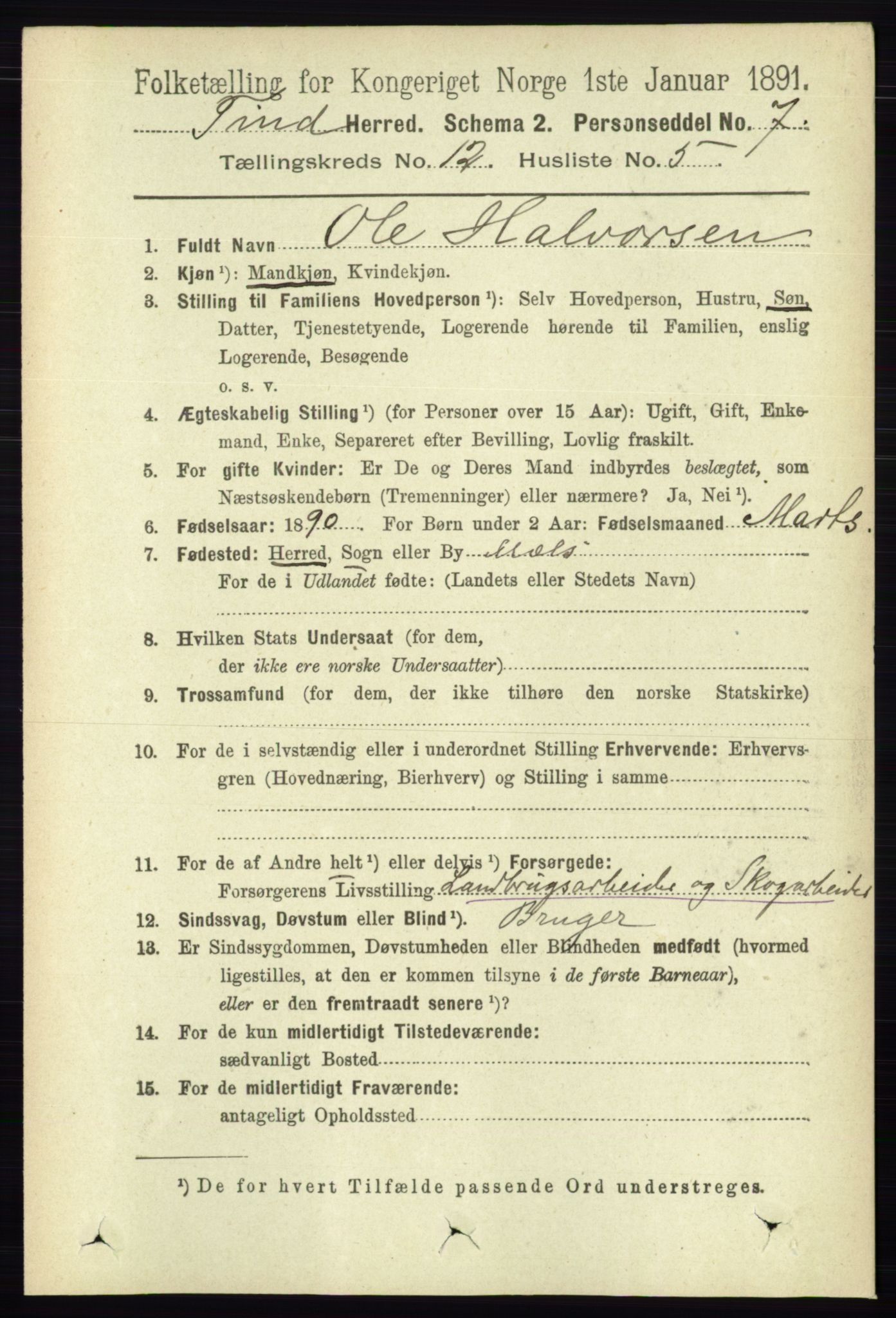 RA, 1891 census for 0826 Tinn, 1891, p. 2349