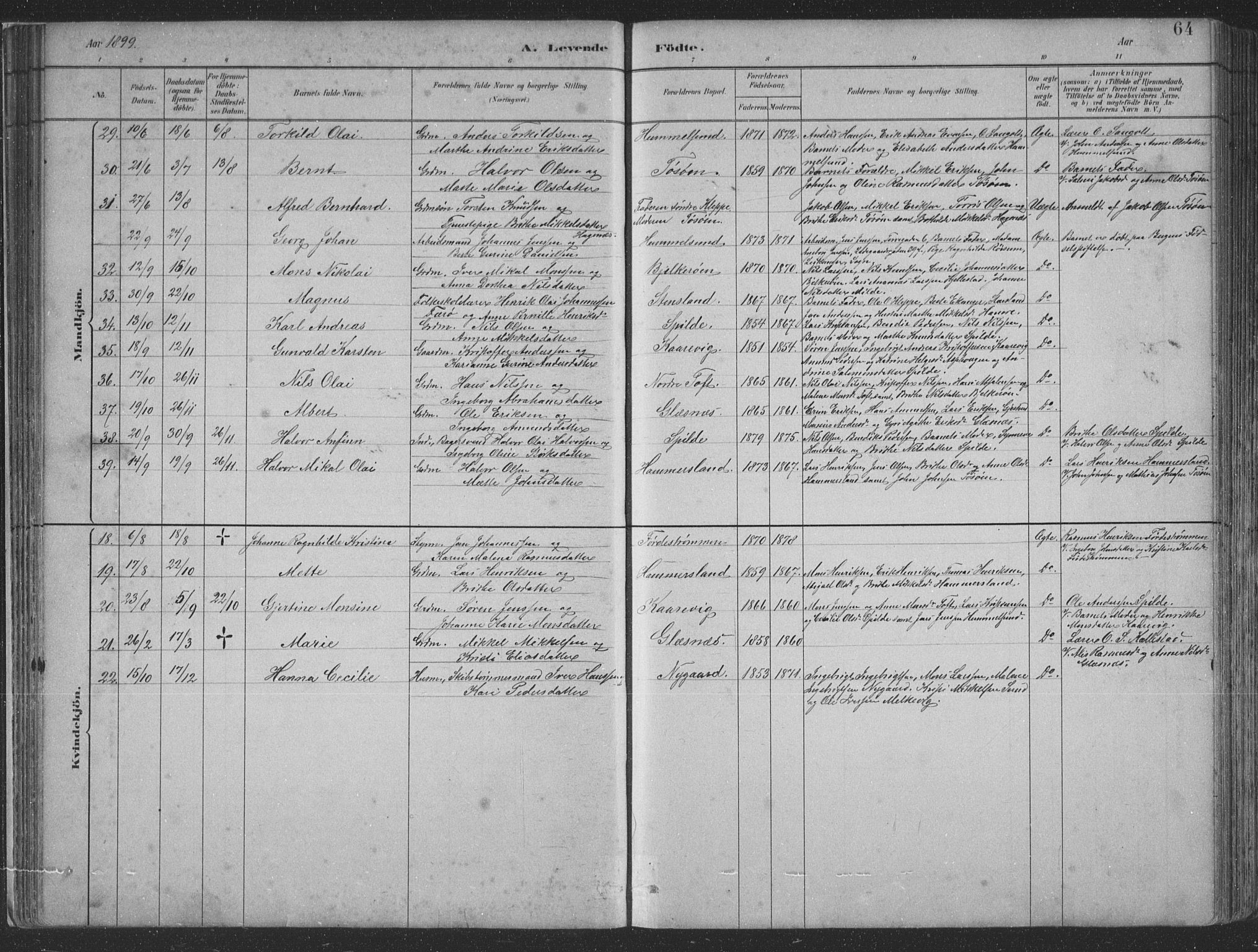 Sund sokneprestembete, AV/SAB-A-99930: Parish register (copy) no. B 3, 1882-1911, p. 64