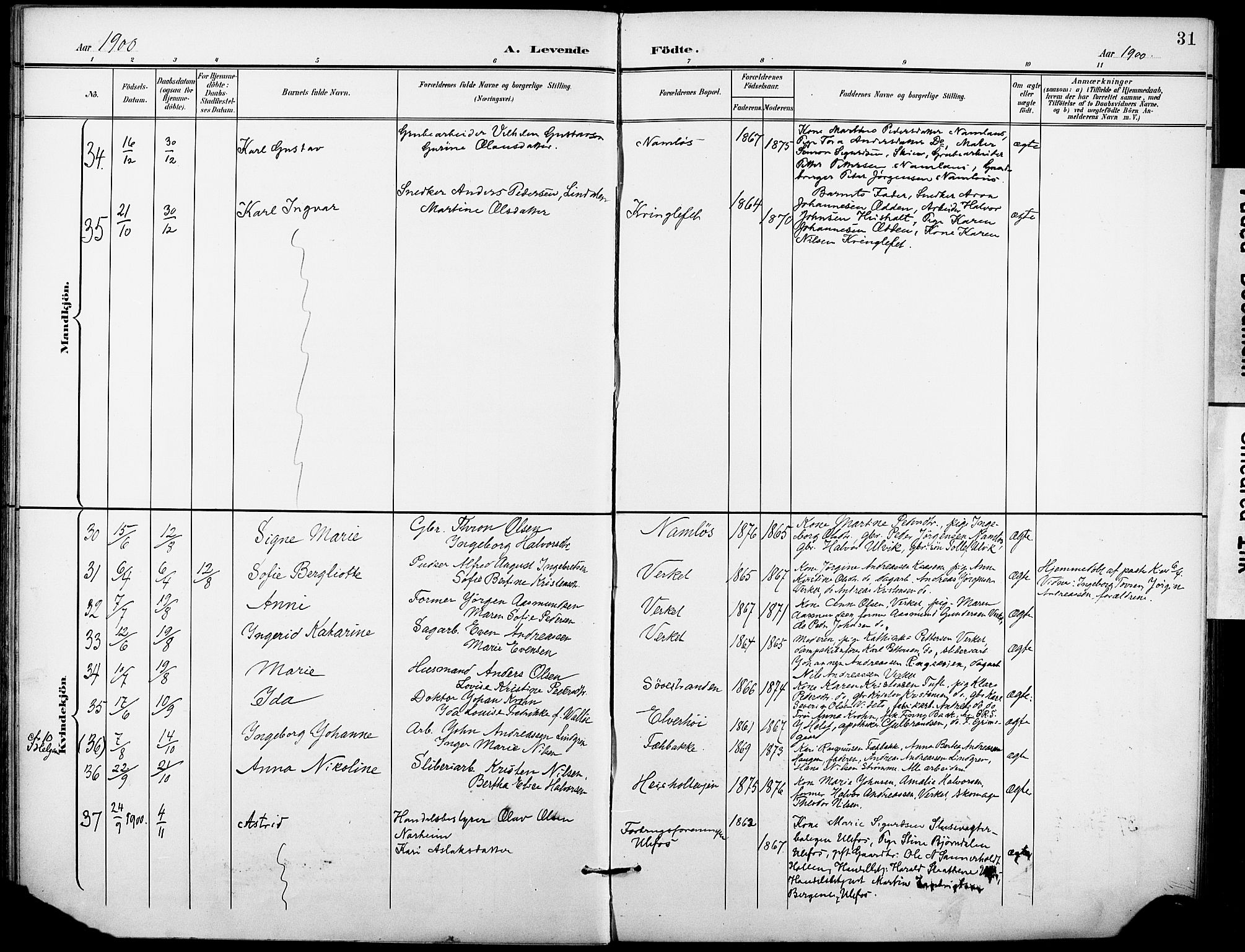 Holla kirkebøker, AV/SAKO-A-272/F/Fa/L0010: Parish register (official) no. 10, 1897-1907, p. 31