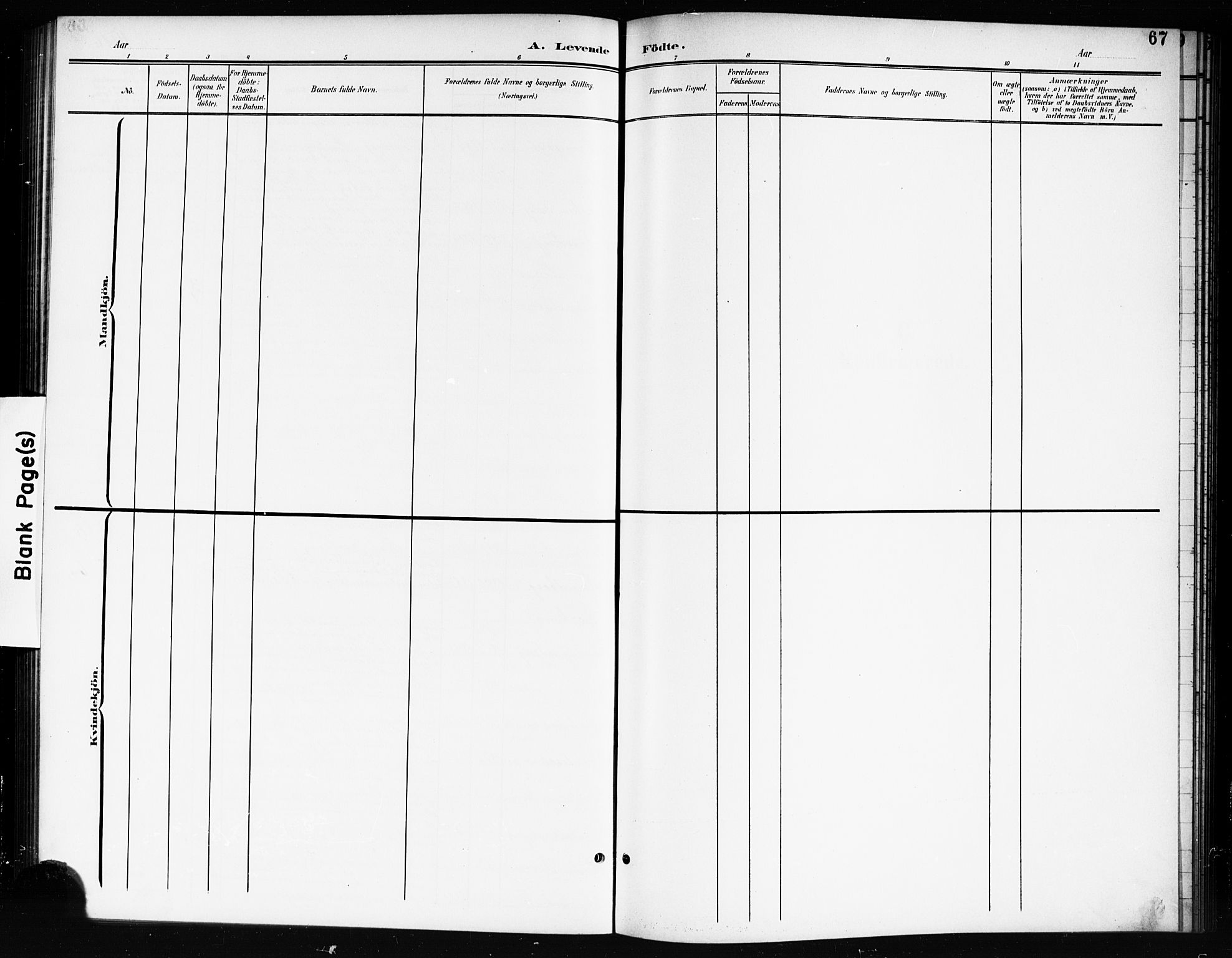 Nes prestekontor Kirkebøker, AV/SAO-A-10410/G/Gc/L0001: Parish register (copy) no. III 1, 1901-1917, p. 67