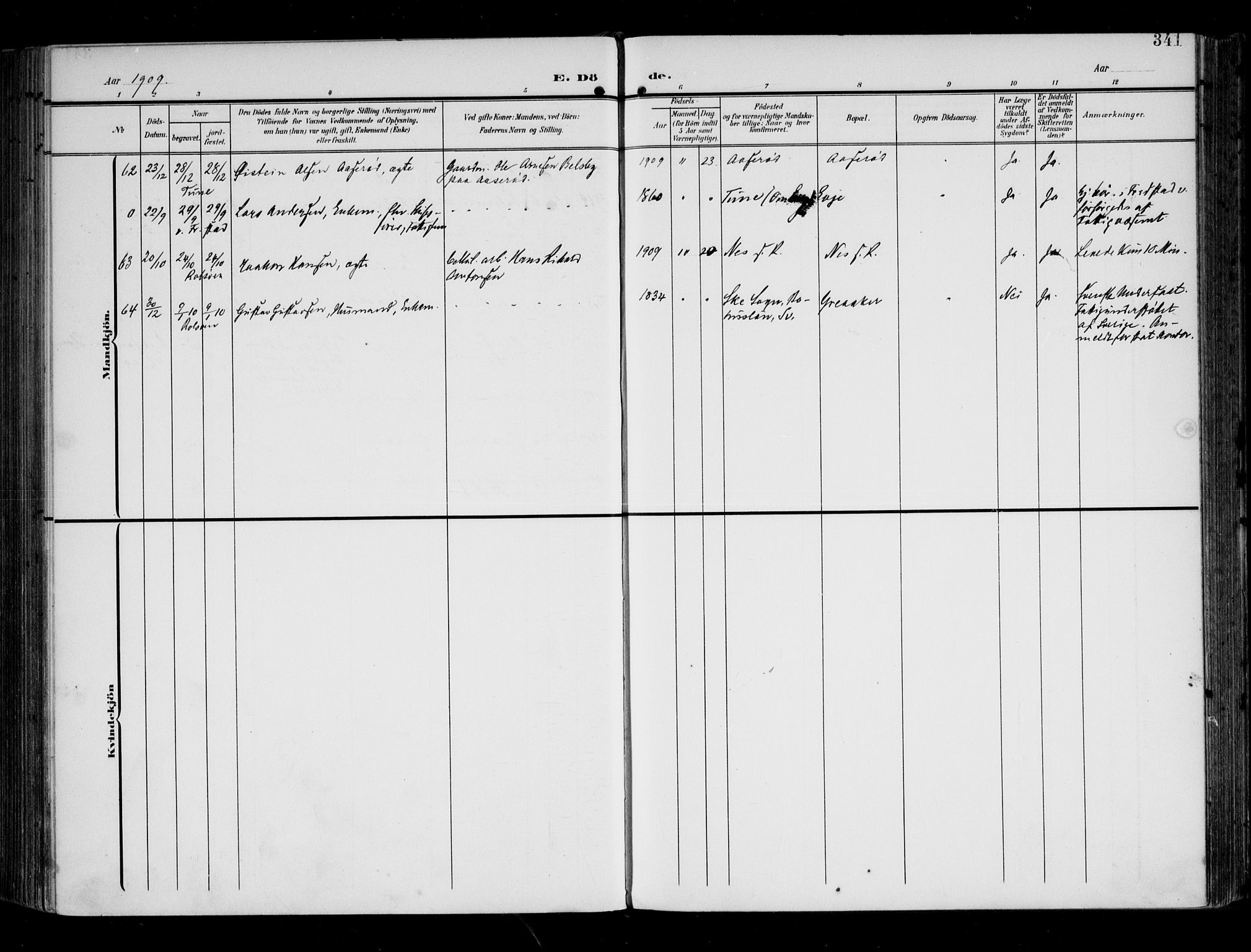 Tune prestekontor Kirkebøker, AV/SAO-A-2007/F/Fa/L0020: Parish register (official) no. 20, 1904-1909, p. 341