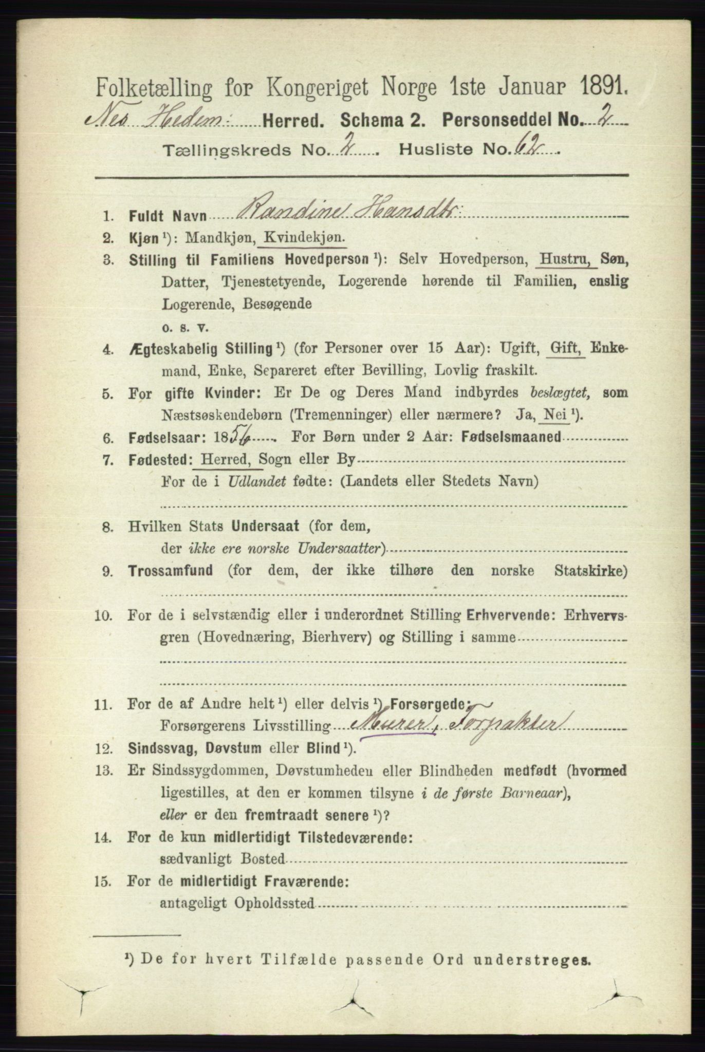 RA, 1891 census for 0411 Nes, 1891, p. 1500