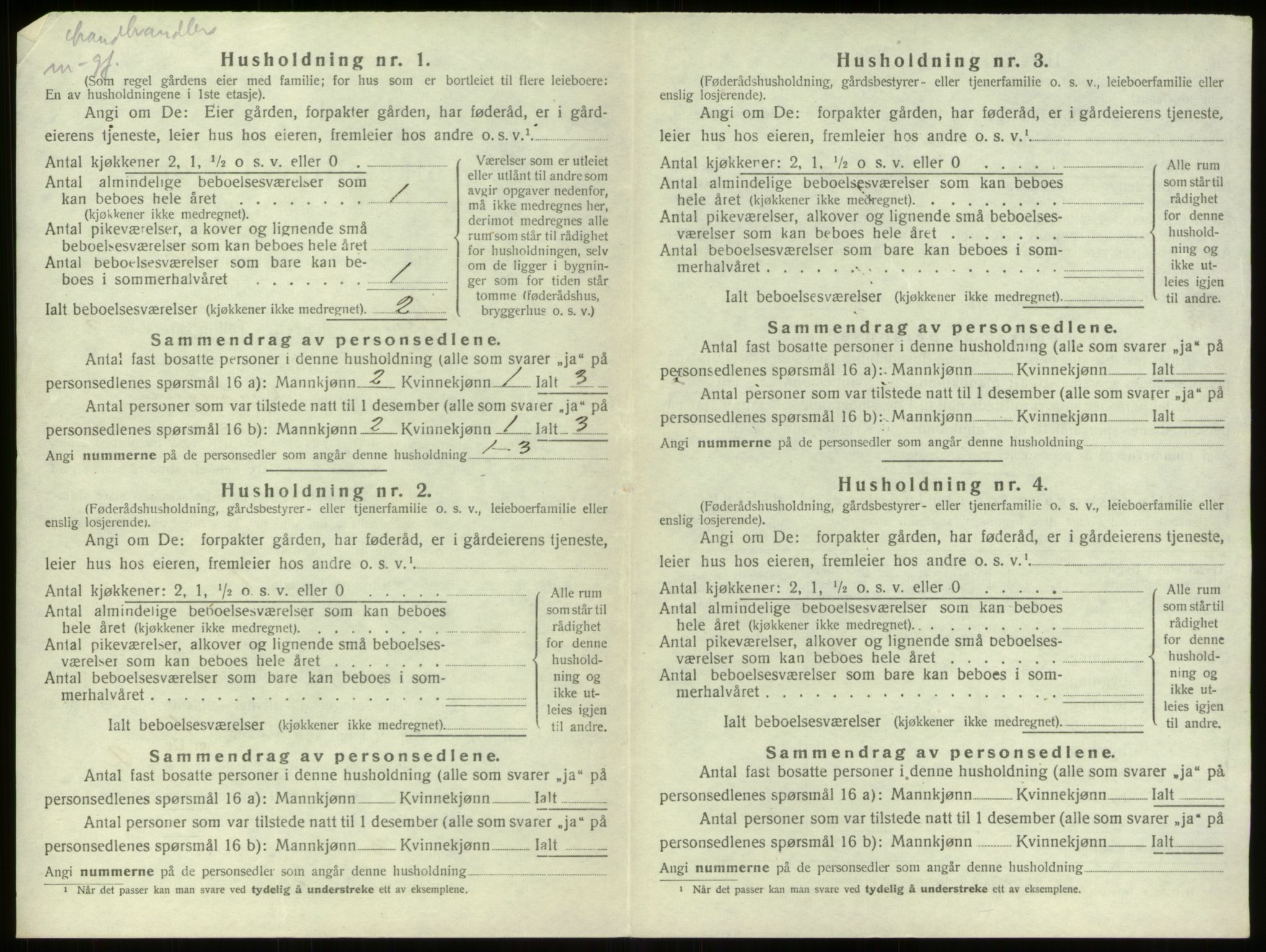 SAB, 1920 census for Stryn, 1920, p. 310