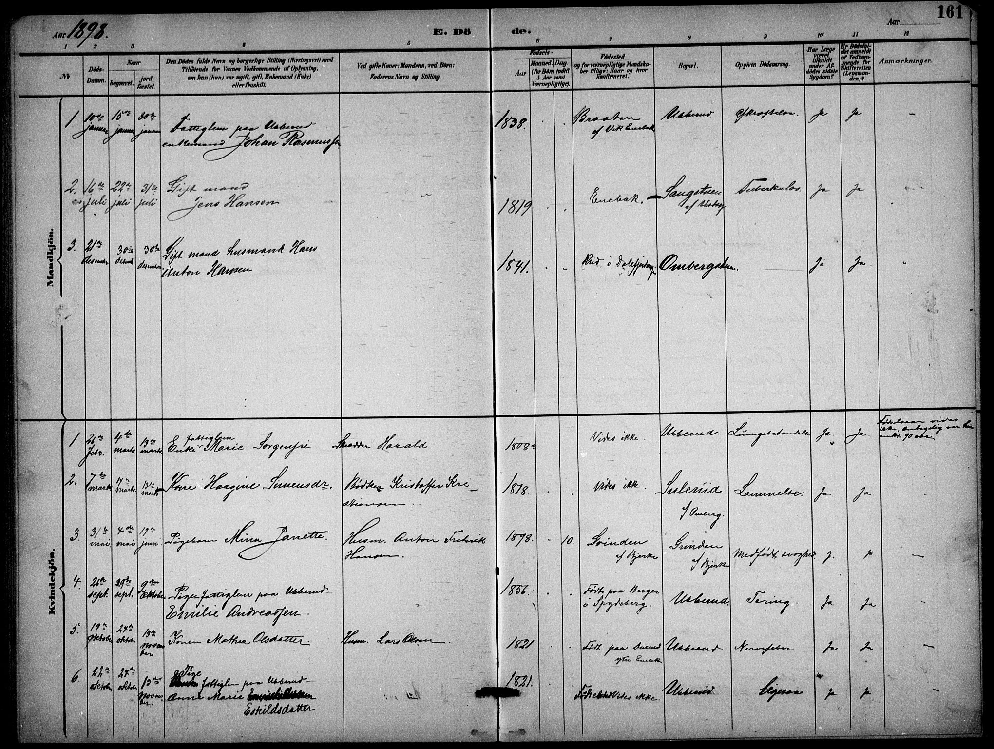 Enebakk prestekontor Kirkebøker, AV/SAO-A-10171c/G/Gb/L0002: Parish register (copy) no. II 2, 1891-1903, p. 161