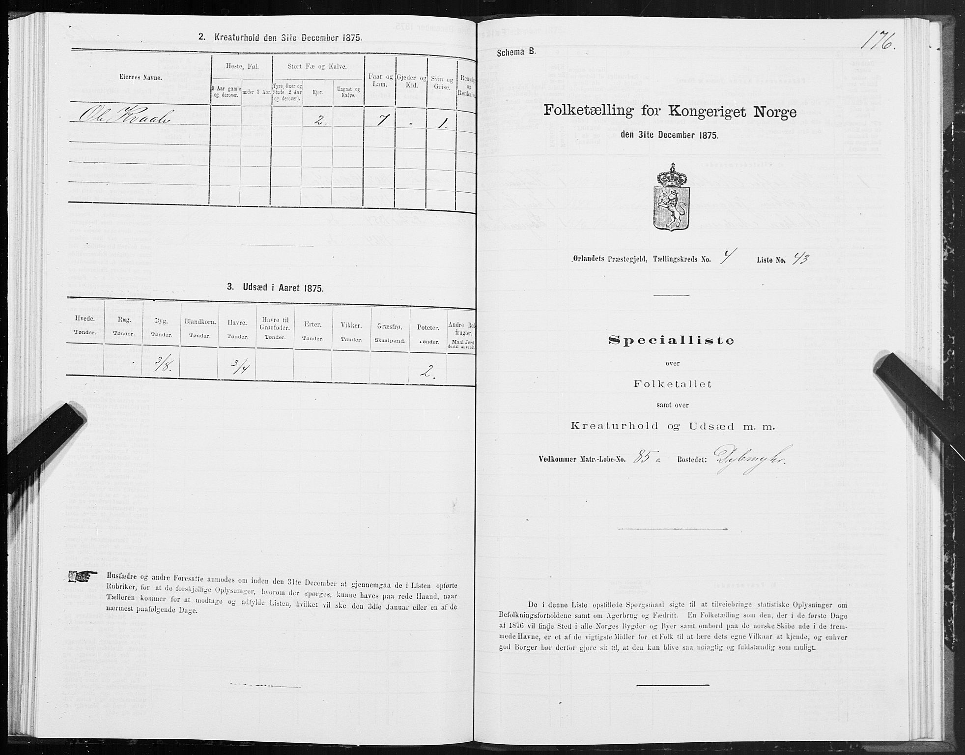 SAT, 1875 census for 1621P Ørland, 1875, p. 2176