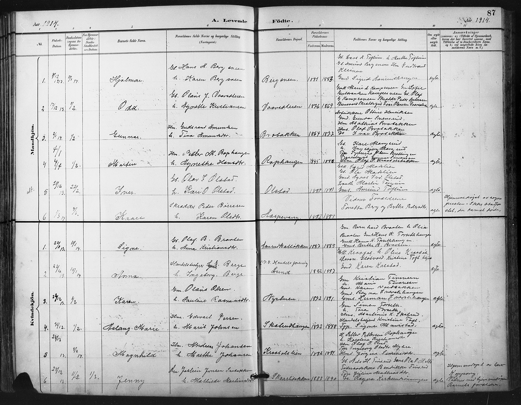 Vestre Gausdal prestekontor, SAH/PREST-094/H/Ha/Hab/L0003: Parish register (copy) no. 3, 1896-1925, p. 87