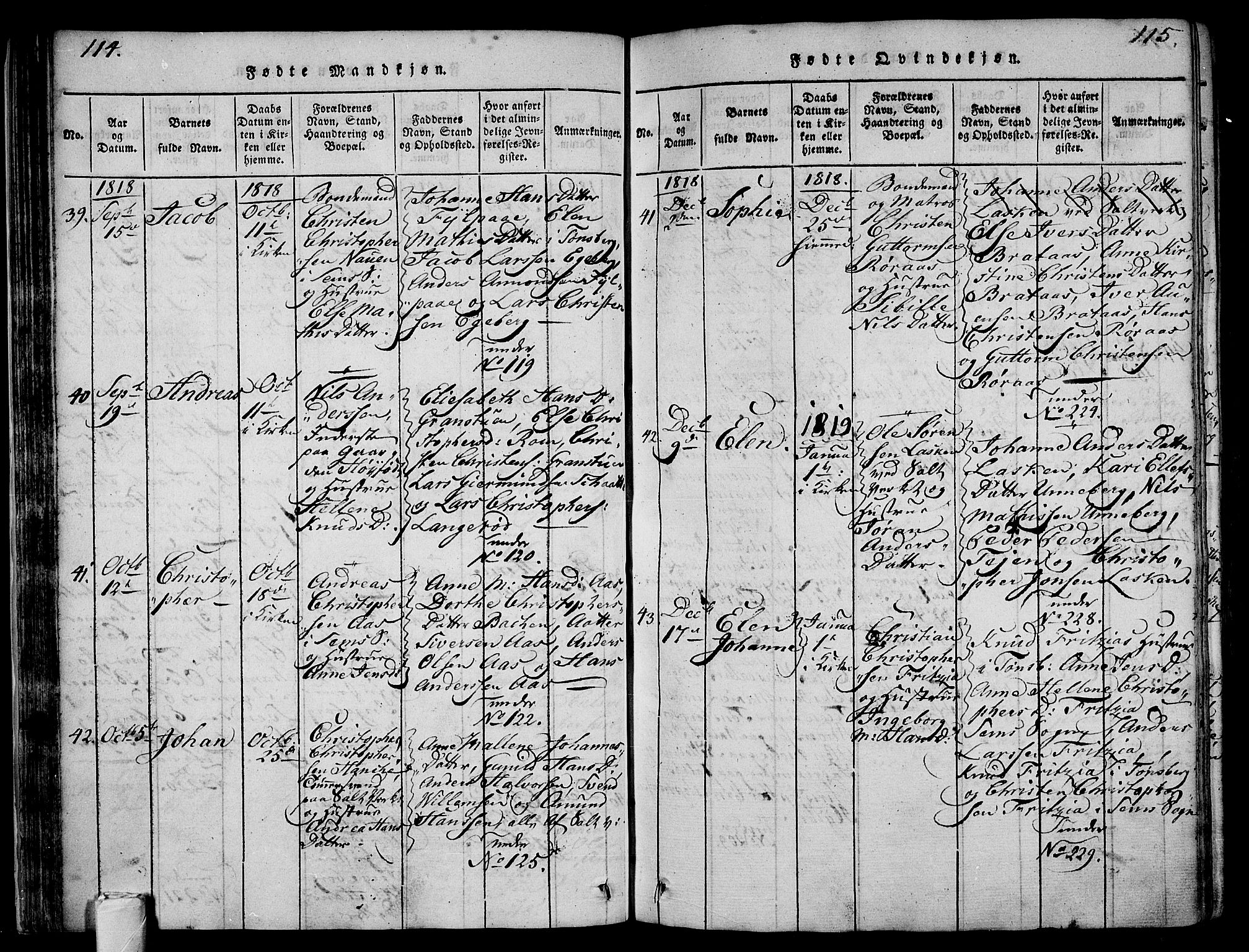 Sem kirkebøker, AV/SAKO-A-5/F/Fa/L0004: Parish register (official) no. I 4, 1814-1825, p. 114-115