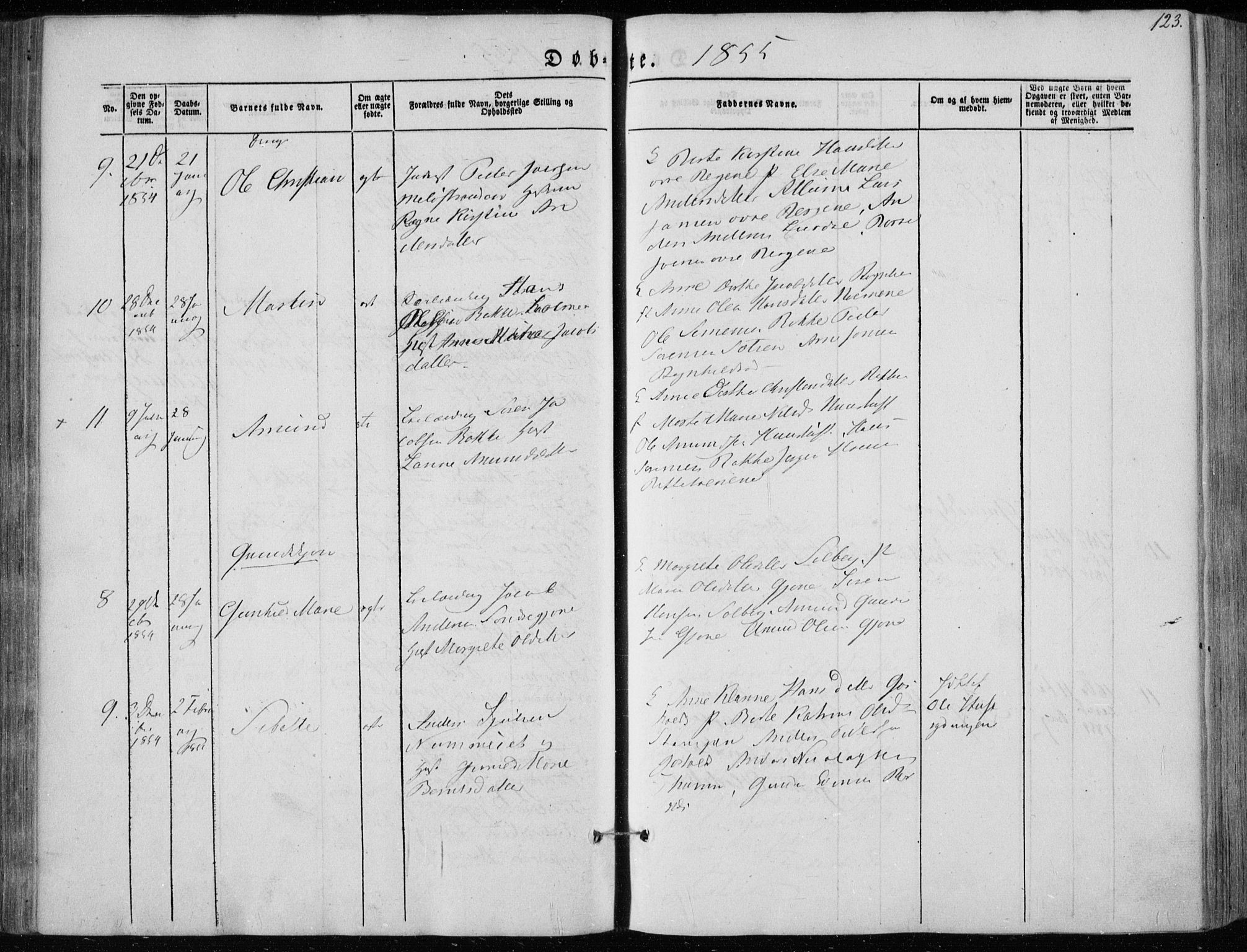 Hedrum kirkebøker, SAKO/A-344/F/Fa/L0006: Parish register (official) no. I 6, 1849-1857, p. 123