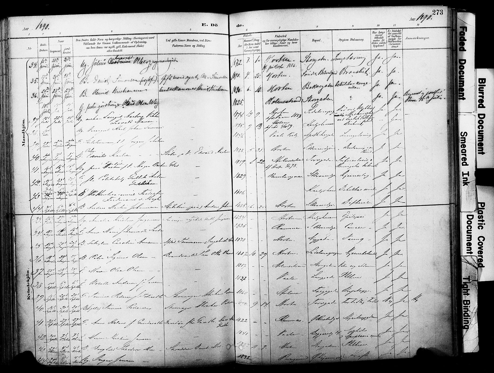 Horten kirkebøker, AV/SAKO-A-348/F/Fa/L0004: Parish register (official) no. 4, 1888-1895, p. 273