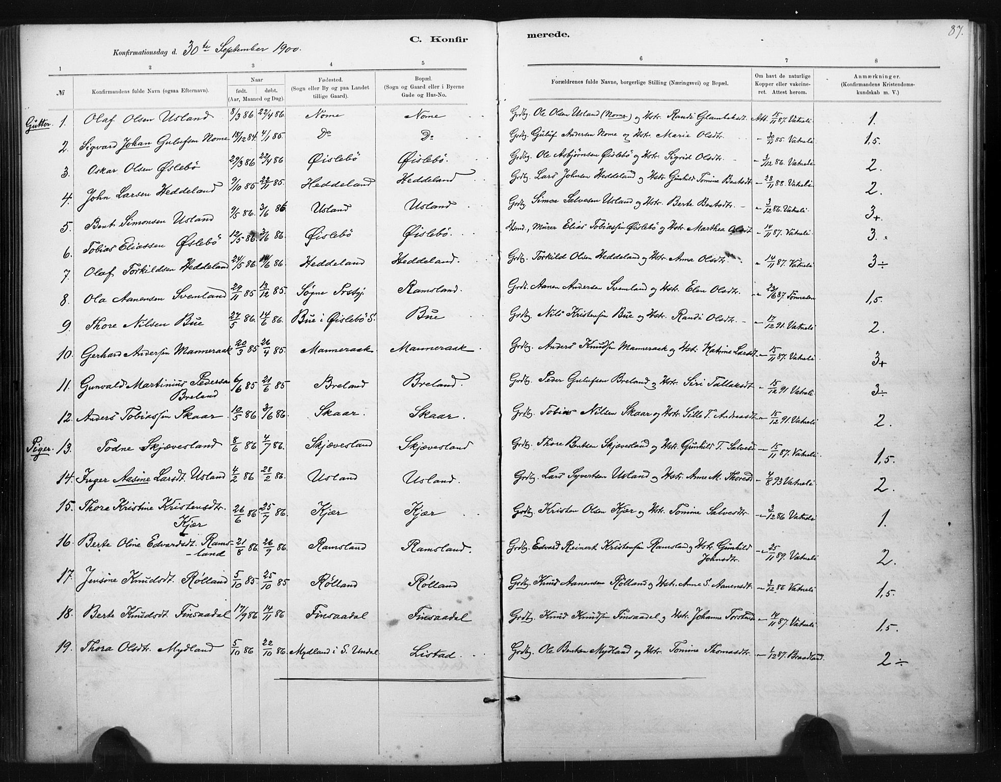 Holum sokneprestkontor, AV/SAK-1111-0022/F/Fa/Fac/L0004: Parish register (official) no. A 4, 1884-1907, p. 87